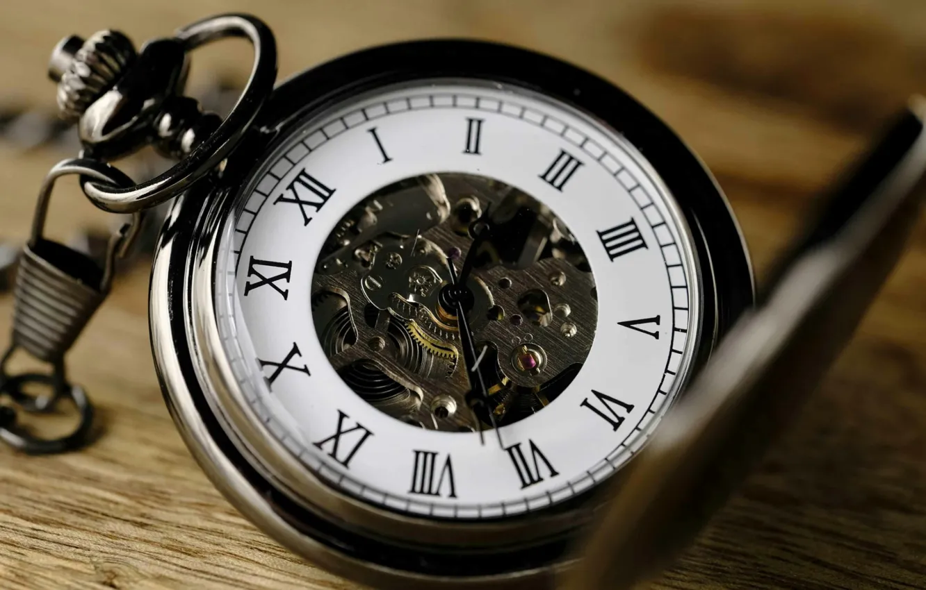 Фото обои Mechanism, Roman numerals, Pocket watch