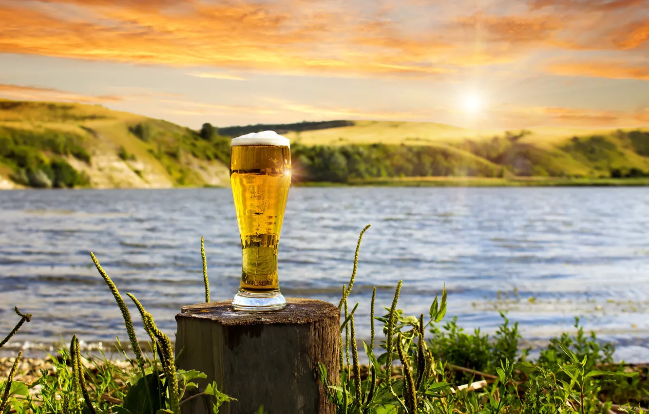 Фото обои трава, пена, солнце, пейзаж, природа, стакан, река, пиво