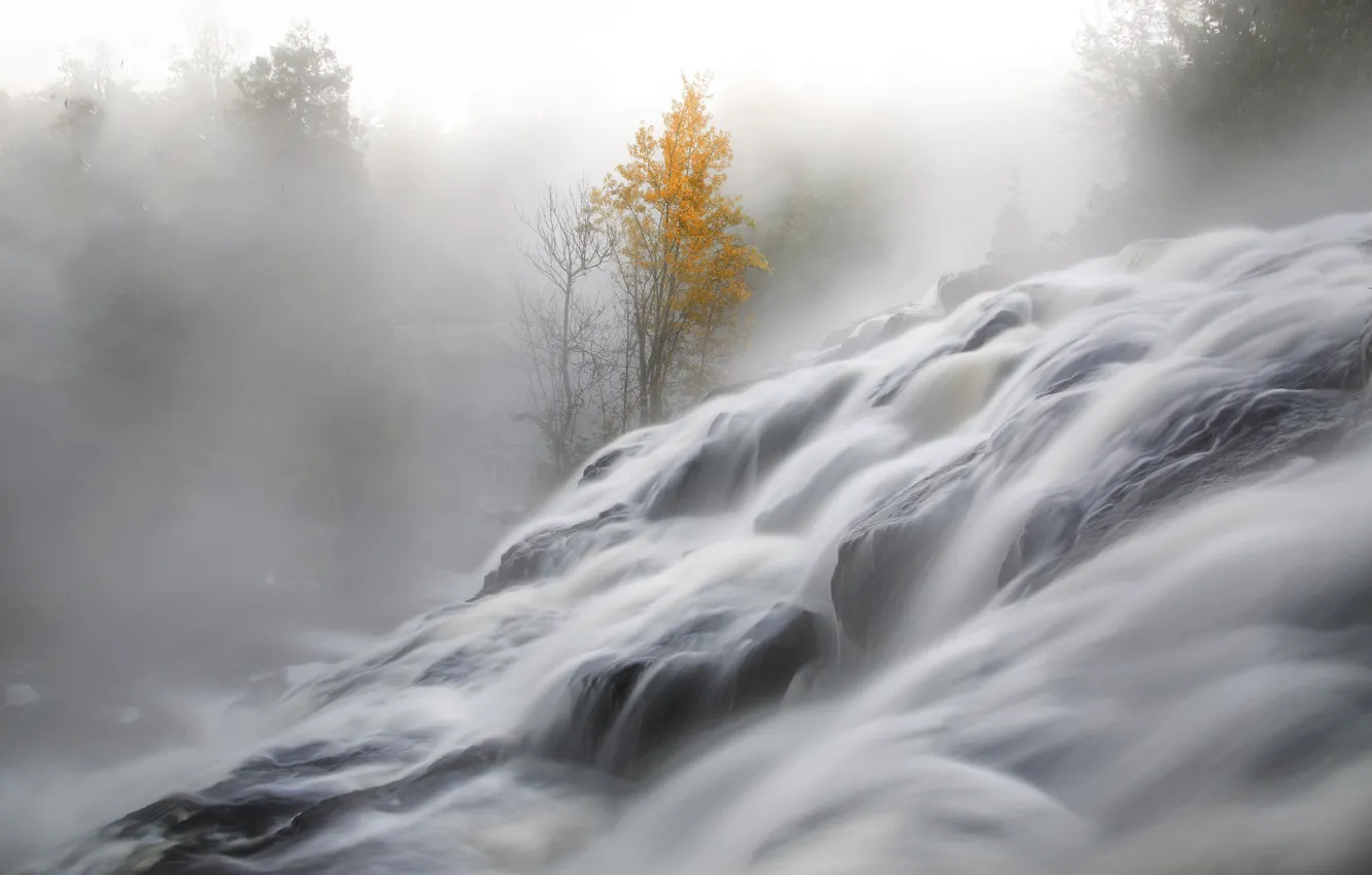 Фото обои осень, река, дерево, поток