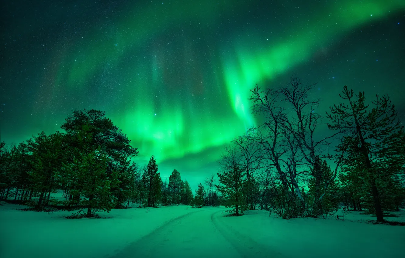 Фото обои зима, дорога, небо, снег, деревья, ночь, природа, северное сияние