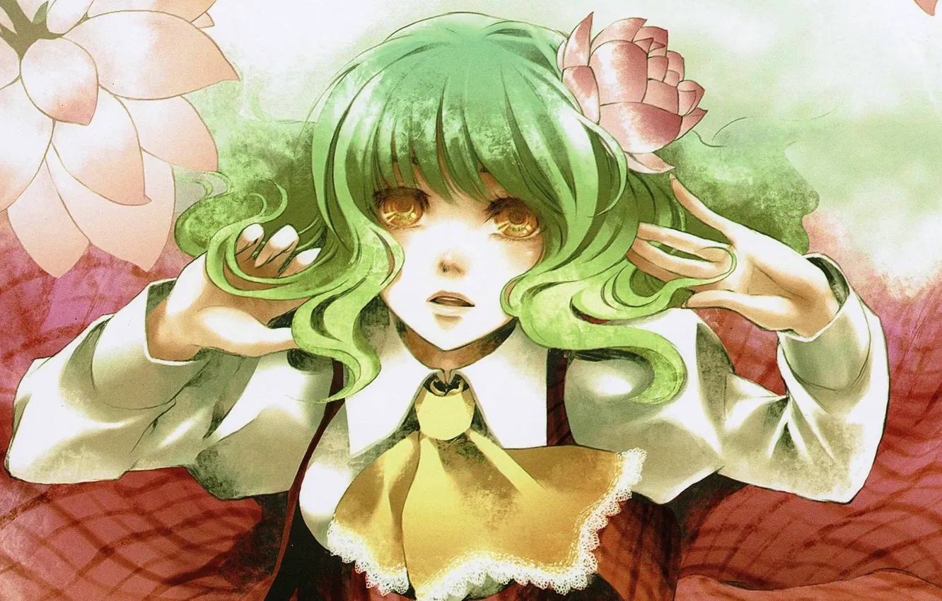 Фото обои руки, лотос, зеленые волосы, touhou, kazami yuuka