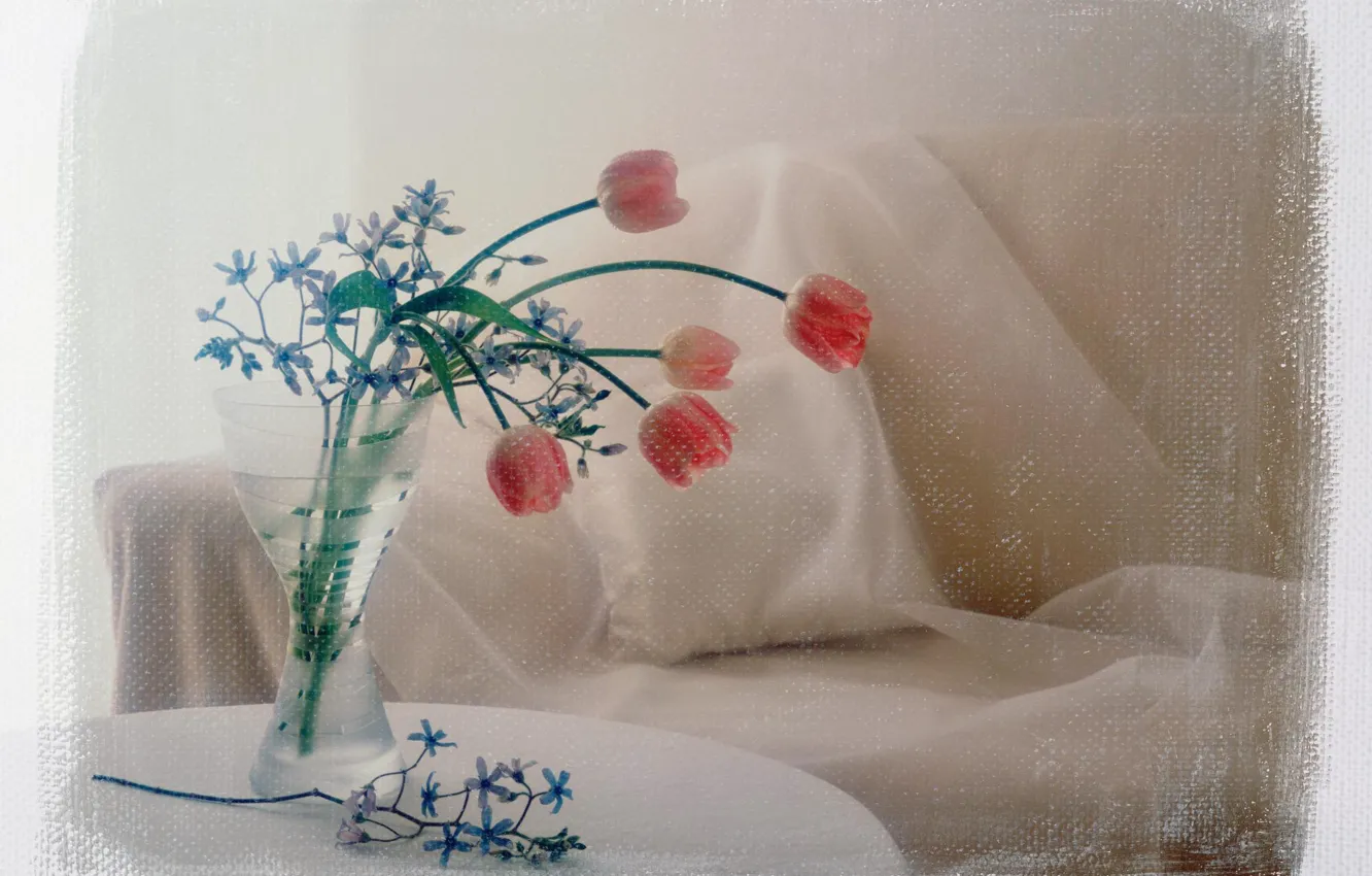 Фото обои цветы, фото, диван, обработка, букет, тюльпаны, подушка, ваза