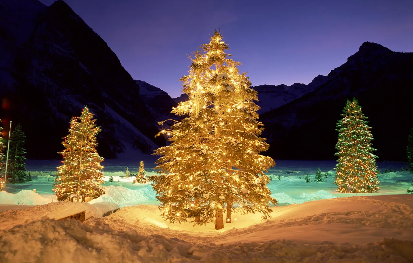 Фото обои зима, свет, ночь, елка, подсветка