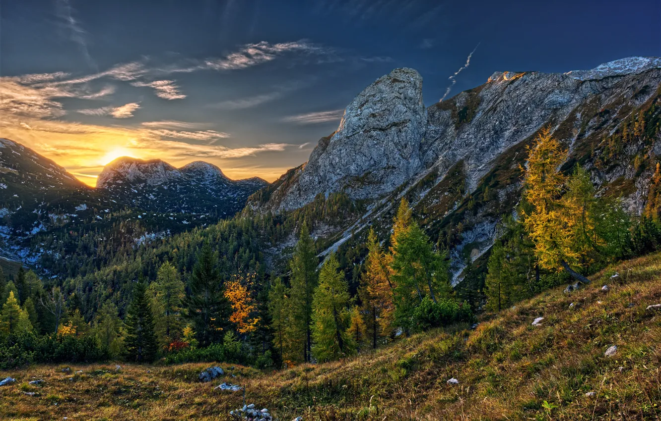 Фото обои осень, деревья, горы, восход, рассвет, Австрия, Альпы, Hochkogel Mountain