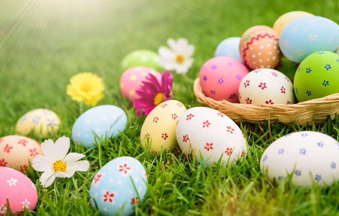 Фото обои праздник, яйца, весна, пасха, корзинка