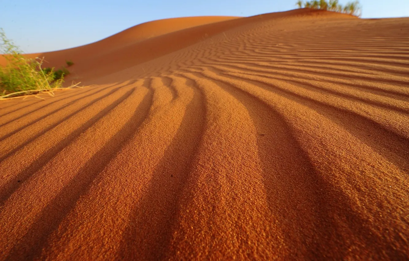 Фото обои песок, небо, солнце, свет, растение, тени, sky, desert