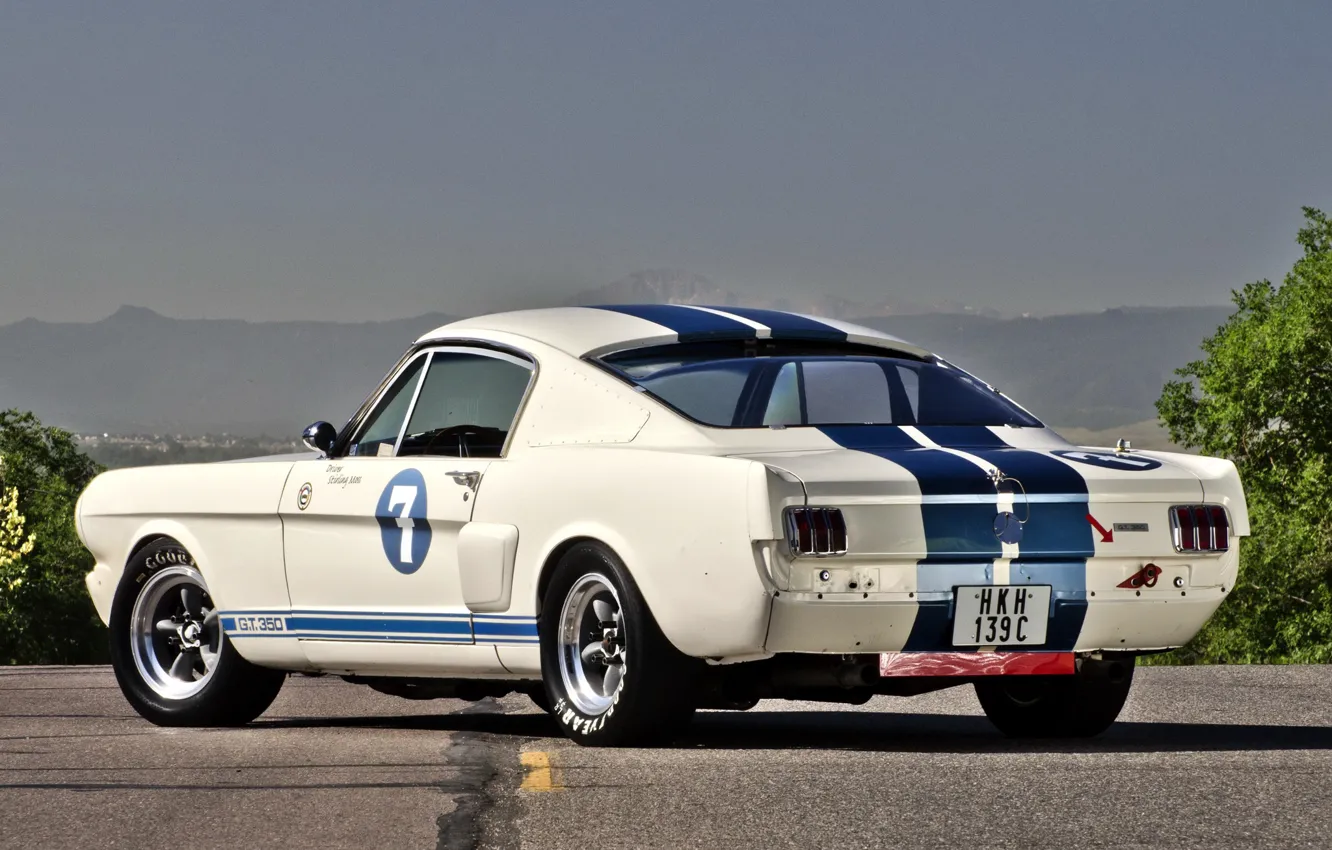 Фото обои Mustang, Ford, Shelby, GT 350