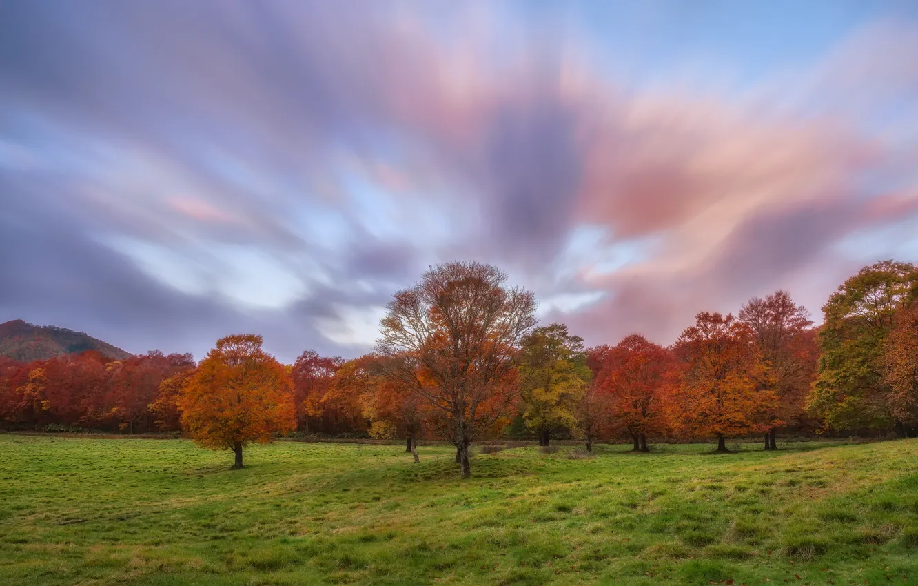 Фото обои небо, трава, облака, деревья, поляна, Осень