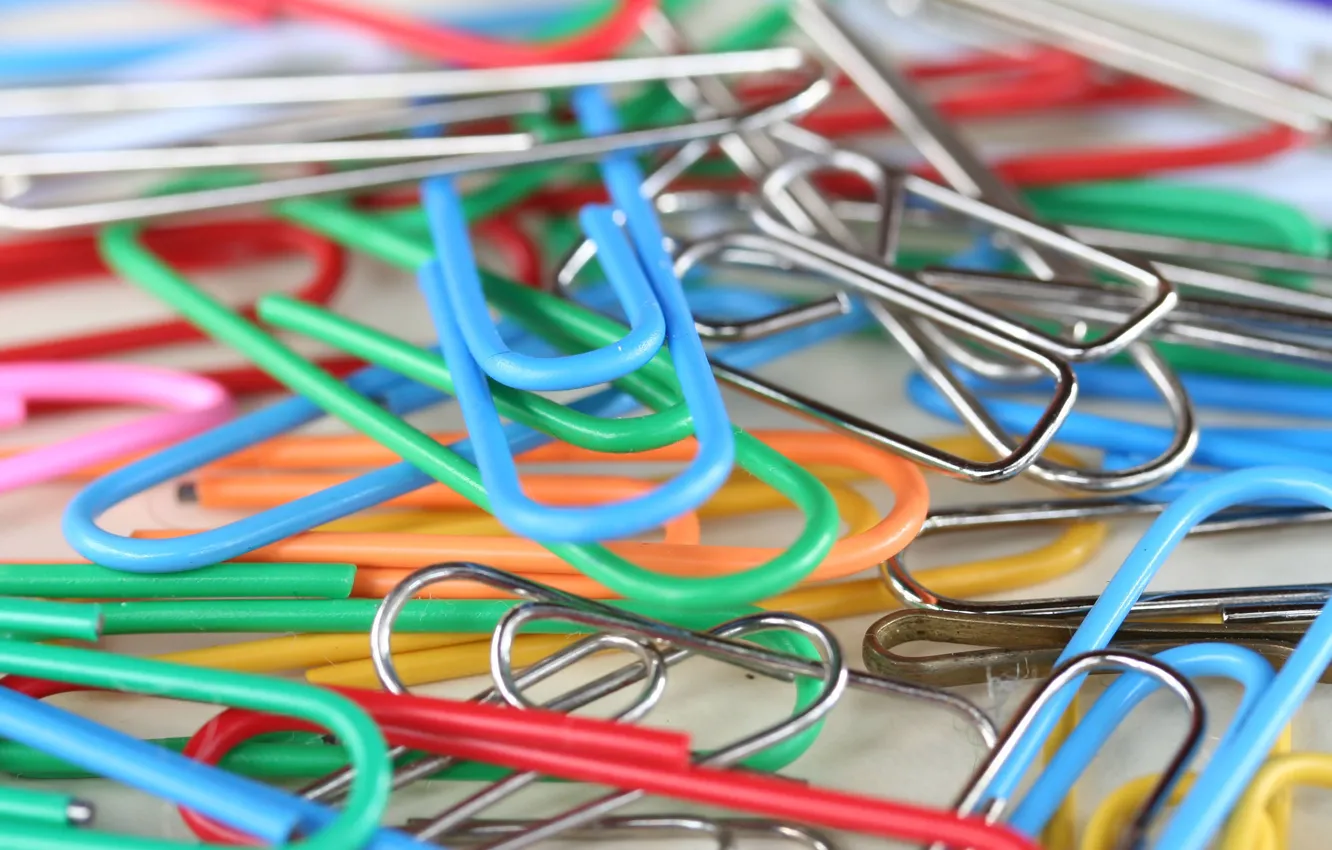 Фото обои офис, скрепки, канцелярия