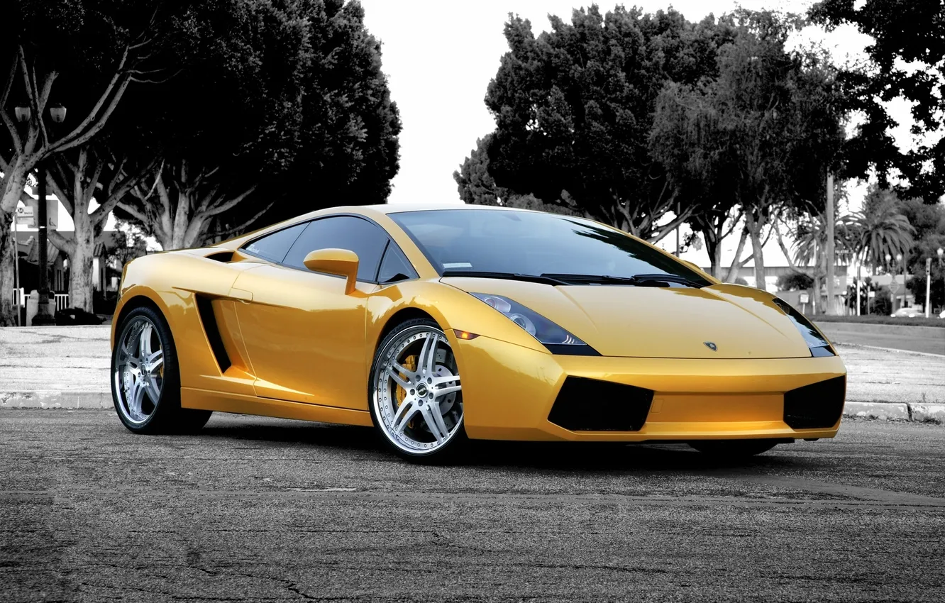 Фото обои небо, деревья, отражение, улица, Lamborghini, Gallardo, yellow, ламборгини