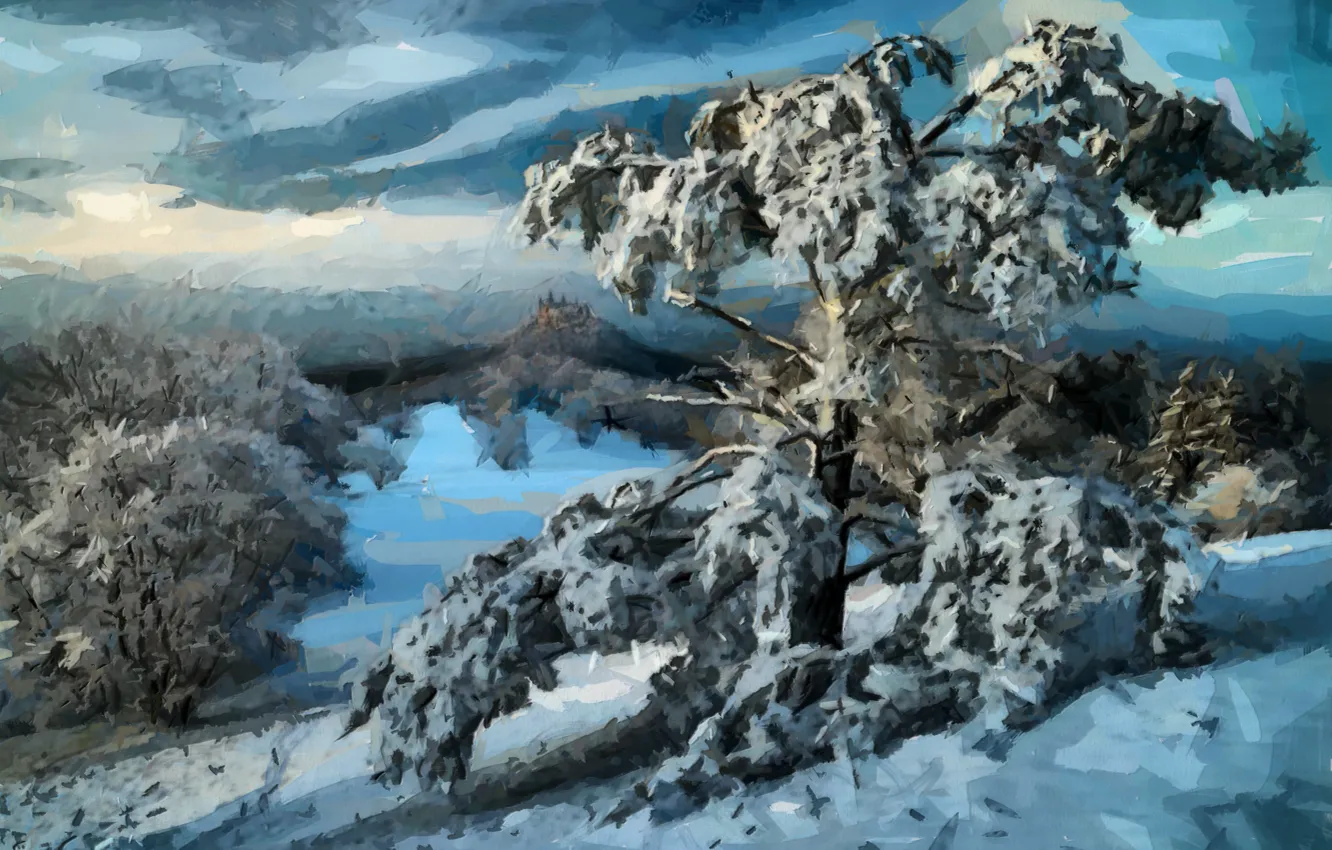 Фото обои зима, лес, снег, деревья, пейзаж