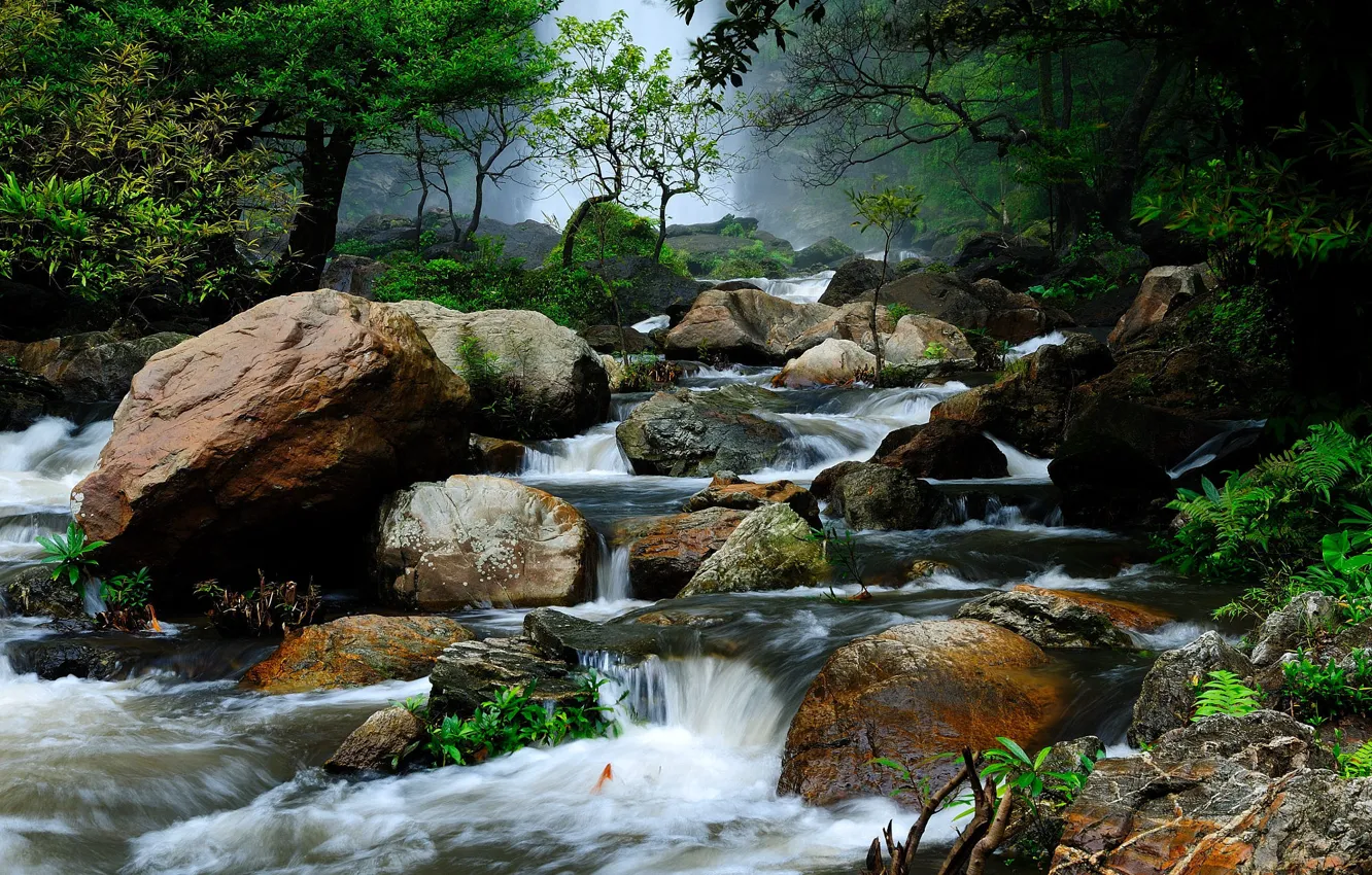 Фото обои лес, деревья, пейзаж, природа, река, камни, течение, Таиланд