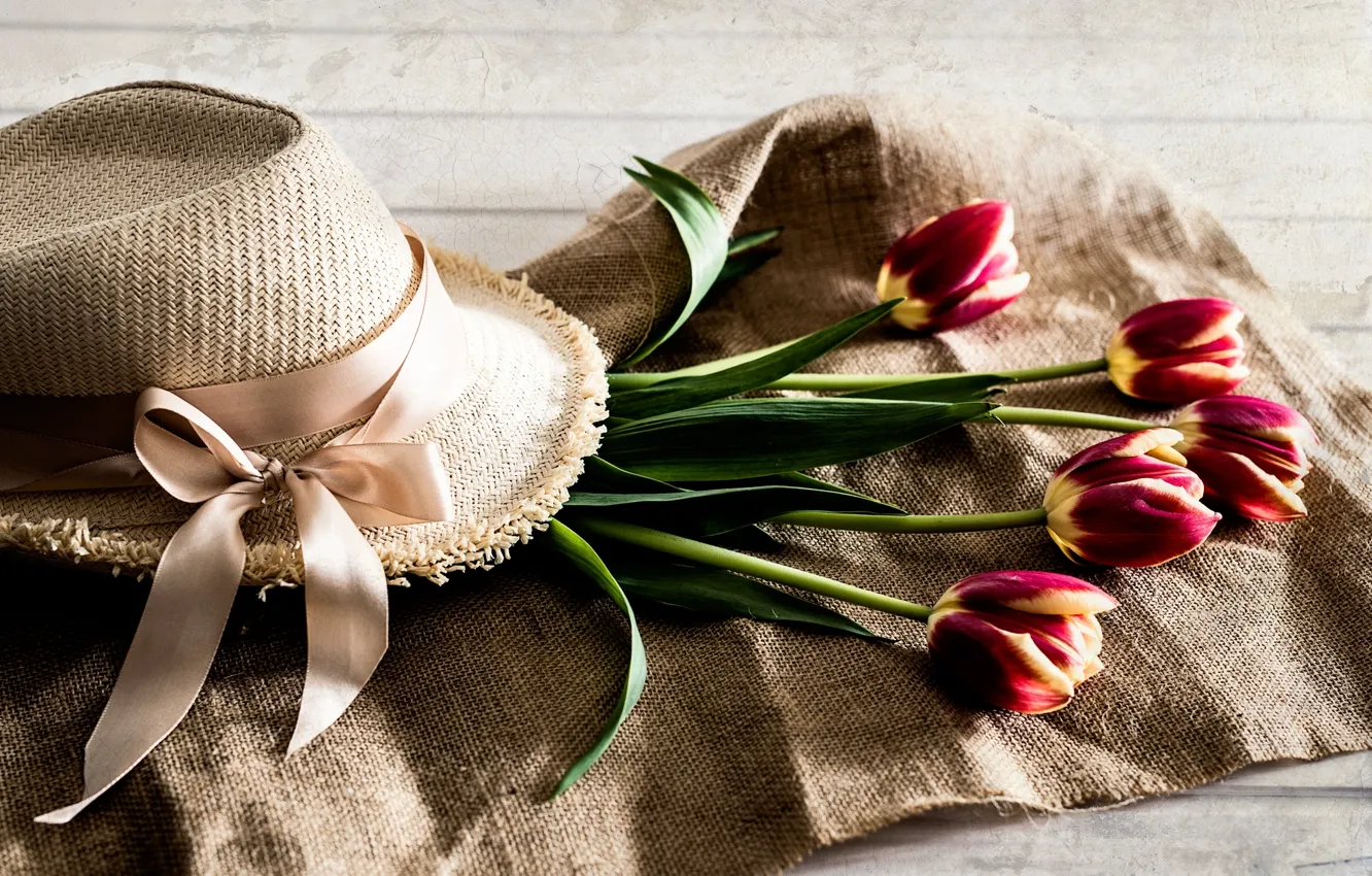 Фото обои шляпа, тюльпаны, бутоны