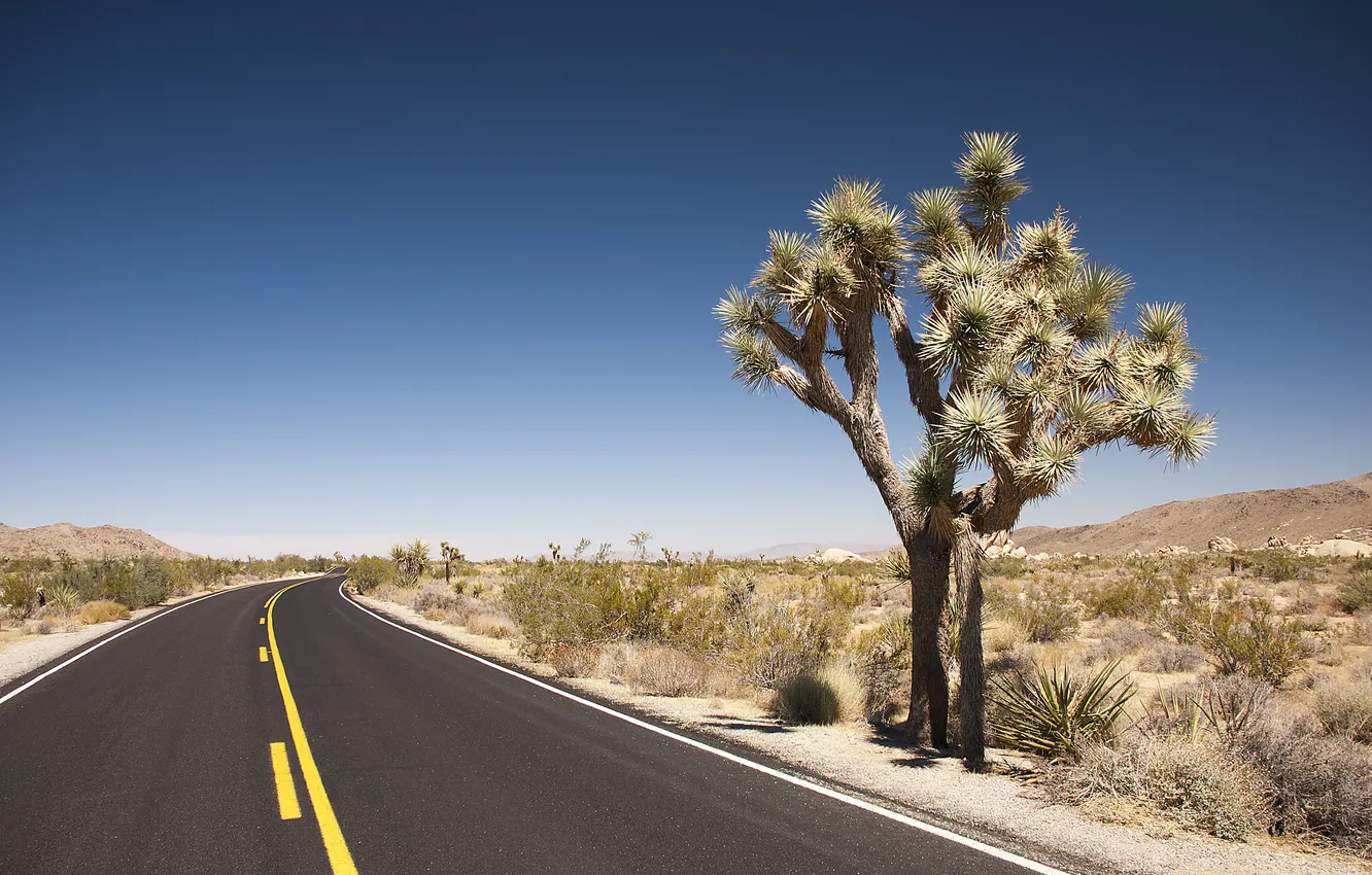 Фото обои дорога, пустыня, дикая Америка