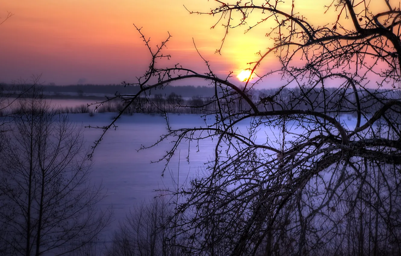 Фото обои зима, пейзаж, закат, дерево