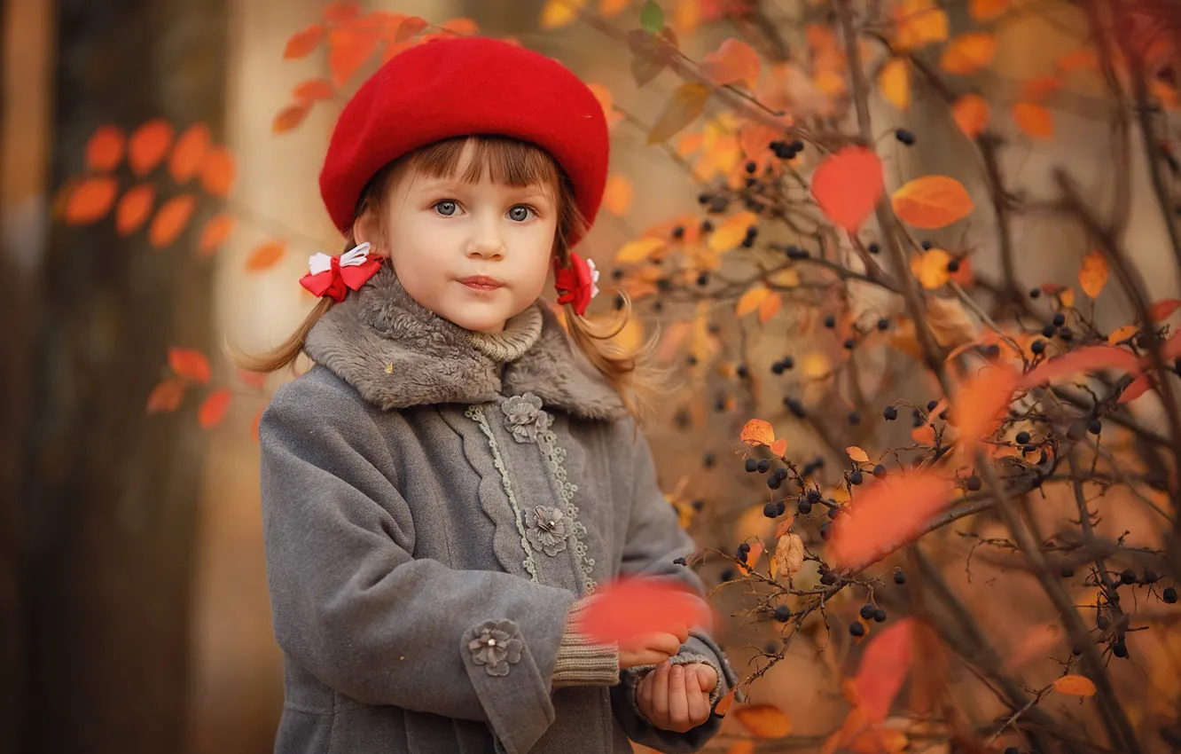 Фото обои осень, взгляд, красный, природа, поза, ягоды, листва, ребенок