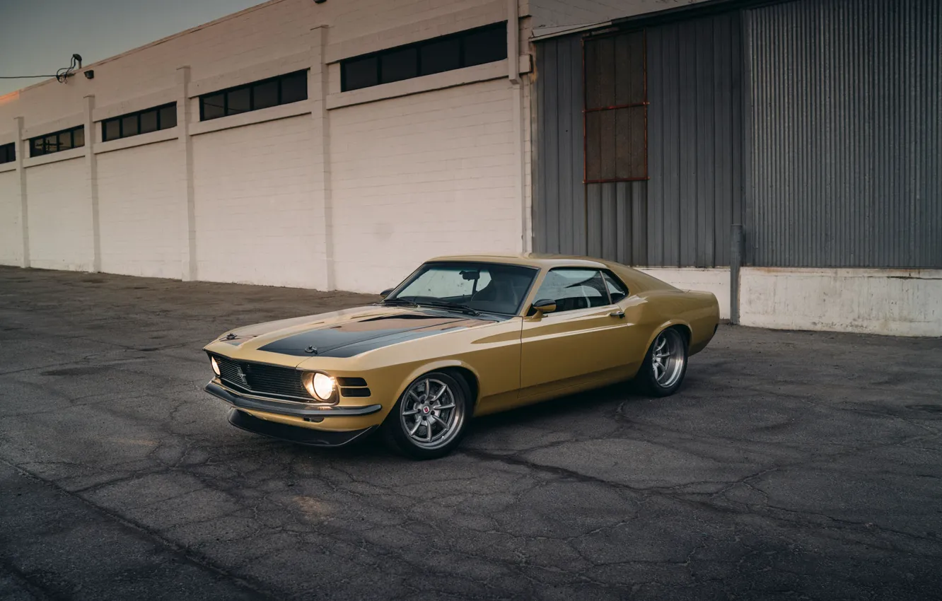 Фото обои Mustang, Ford, Performance, Wheels, HRE, Bronze