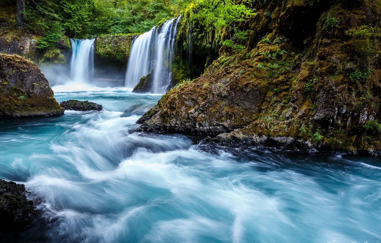 Фото обои лес, природа, река, водопад, Spirit Falls