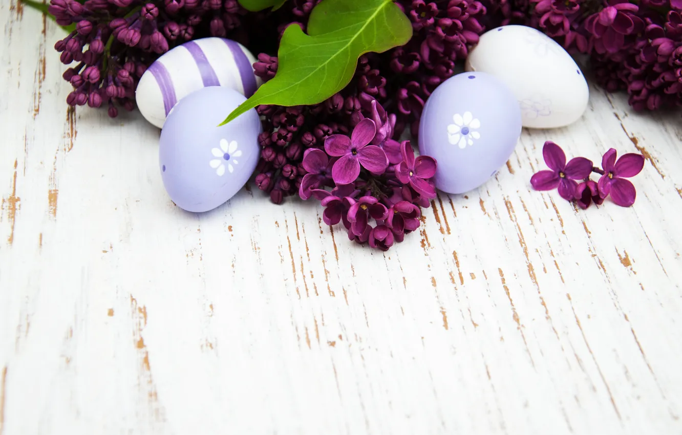 Фото обои цветы, яйца, весна, colorful, Пасха, happy, wood, blossom
