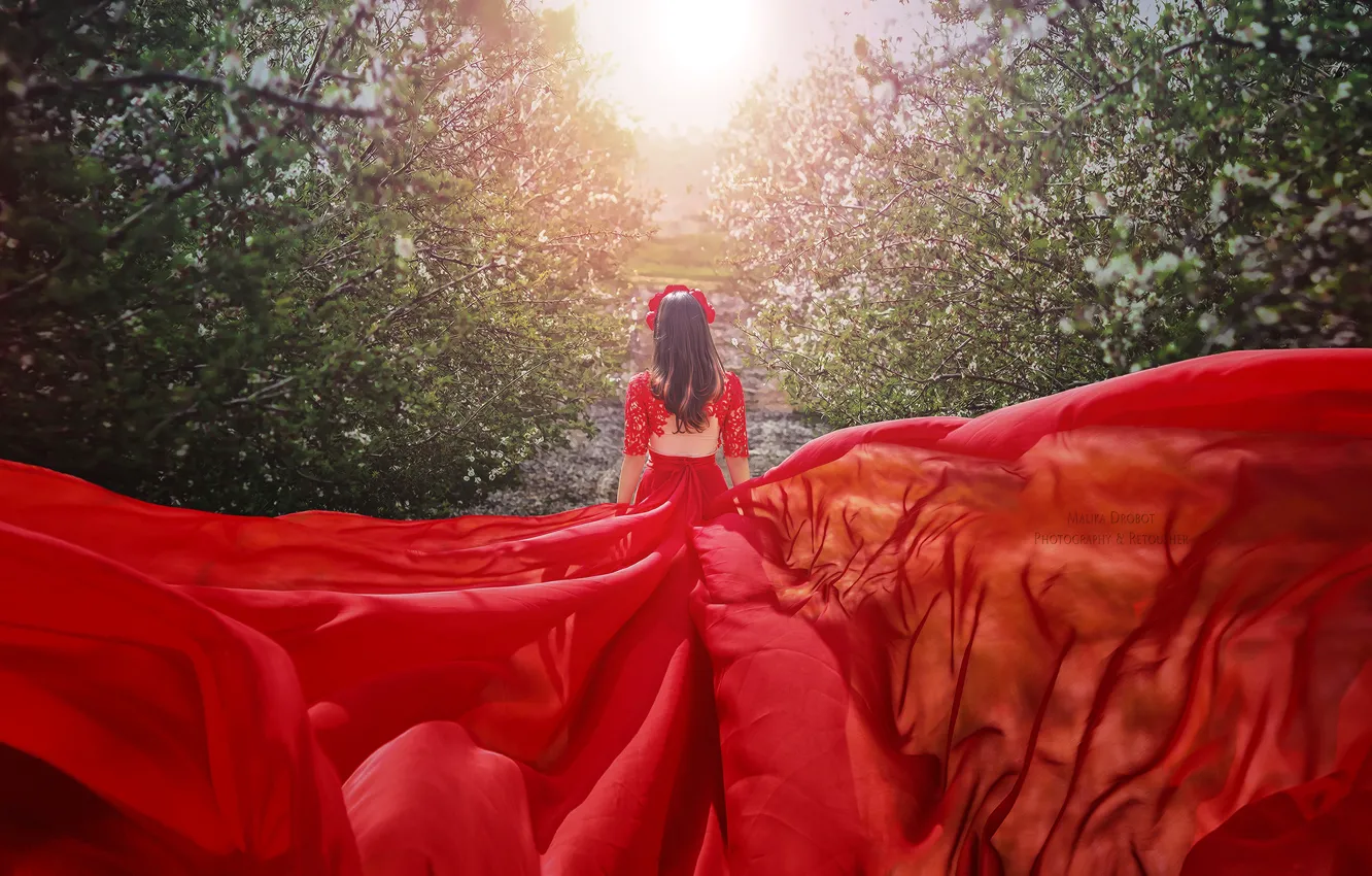 Фото обои девушка, красное, спина, сад, платье, фотограф Malika Drobot