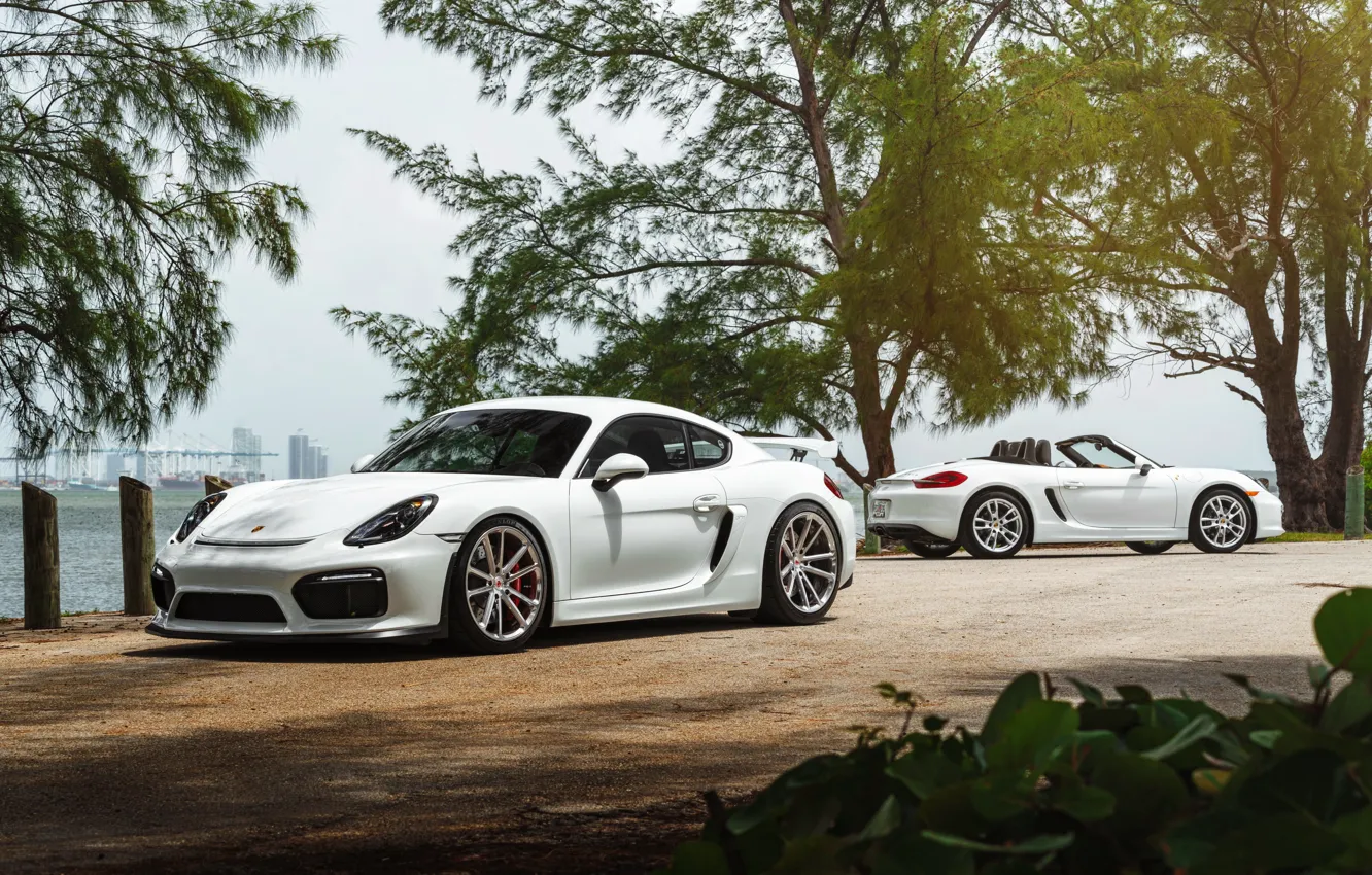 Фото обои car, Porsche, White, roadster, William Stern, cayman GT4