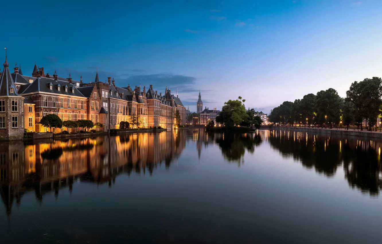 Фото обои деревья, озеро, пруд, отражение, здания, Нидерланды, Netherlands, Гаага