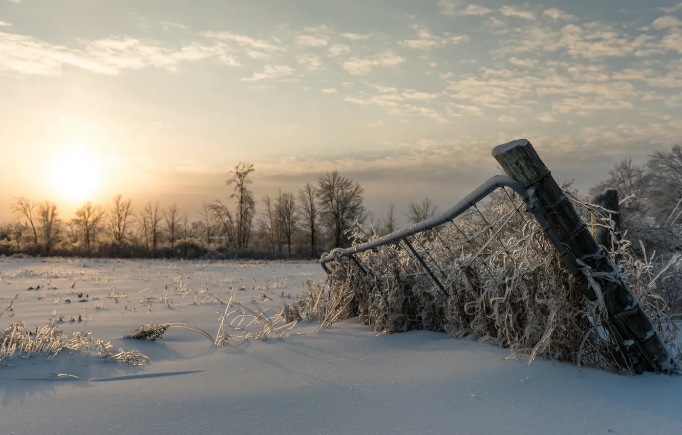 Фото обои зима, поле, снег, утро