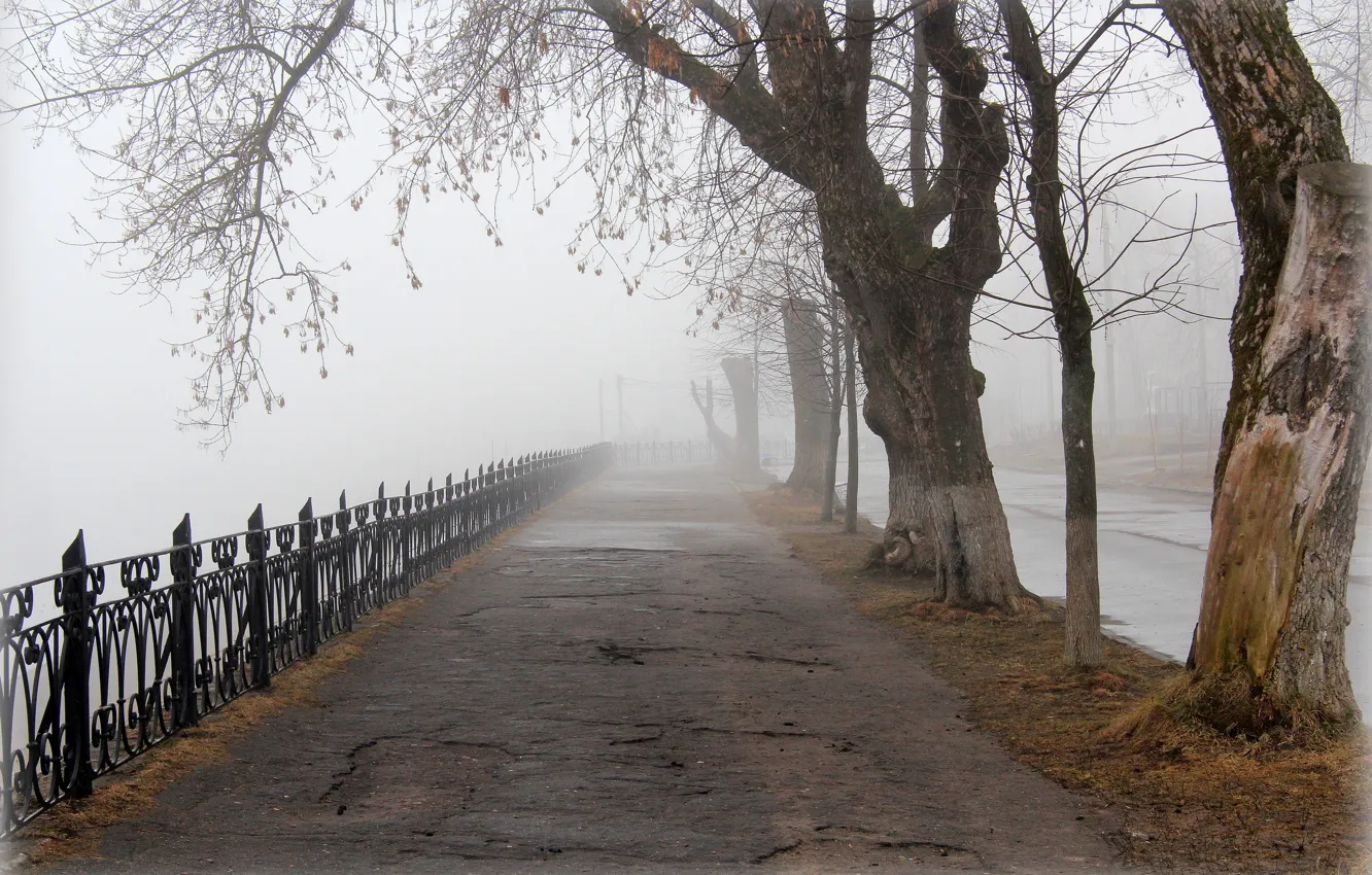 Фото обои город, туман, весна, аллея, тверь, горсад