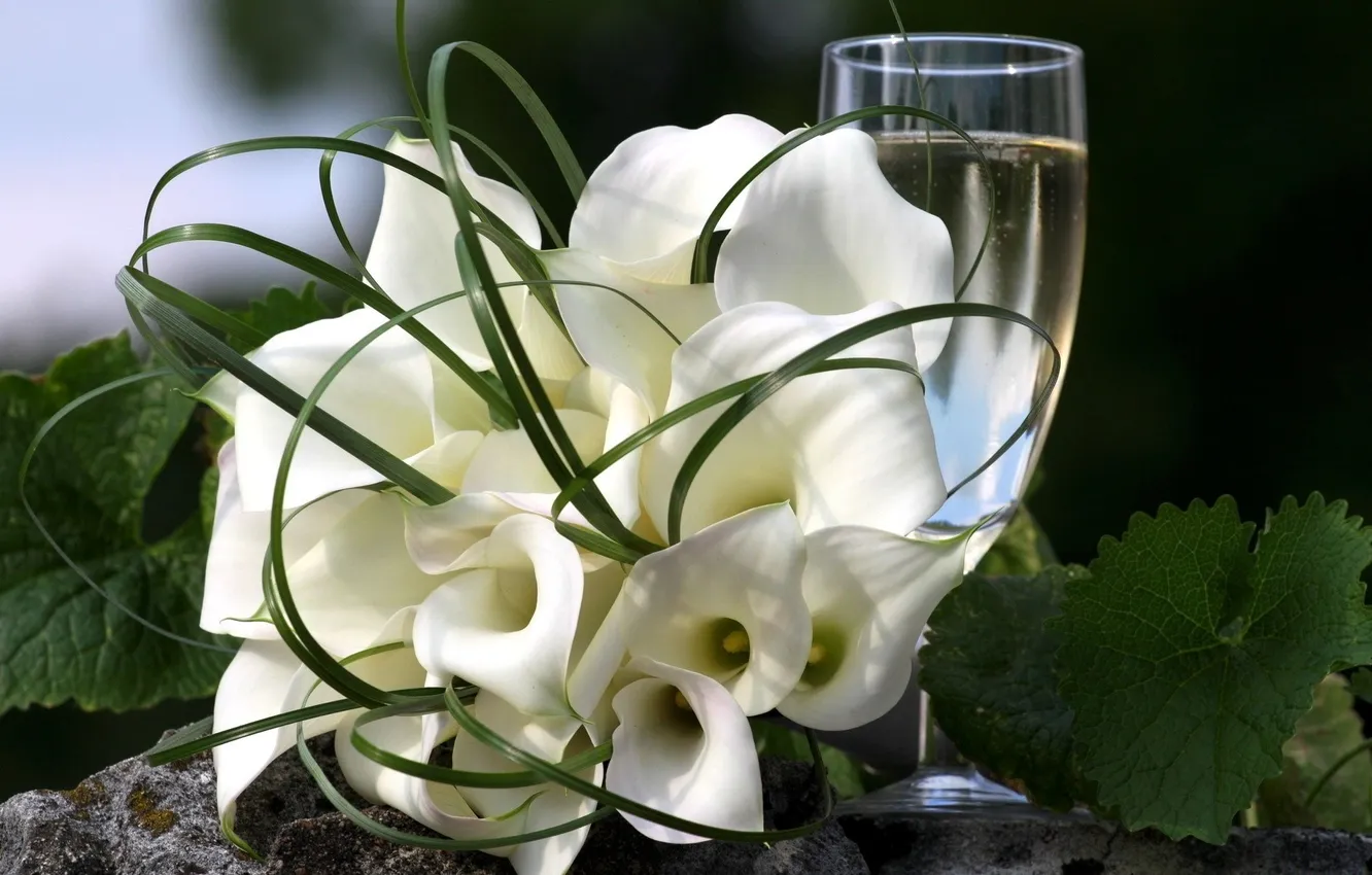 Фото обои белый, листья, цветы, зеленый, бокал, цвет, букет, напиток