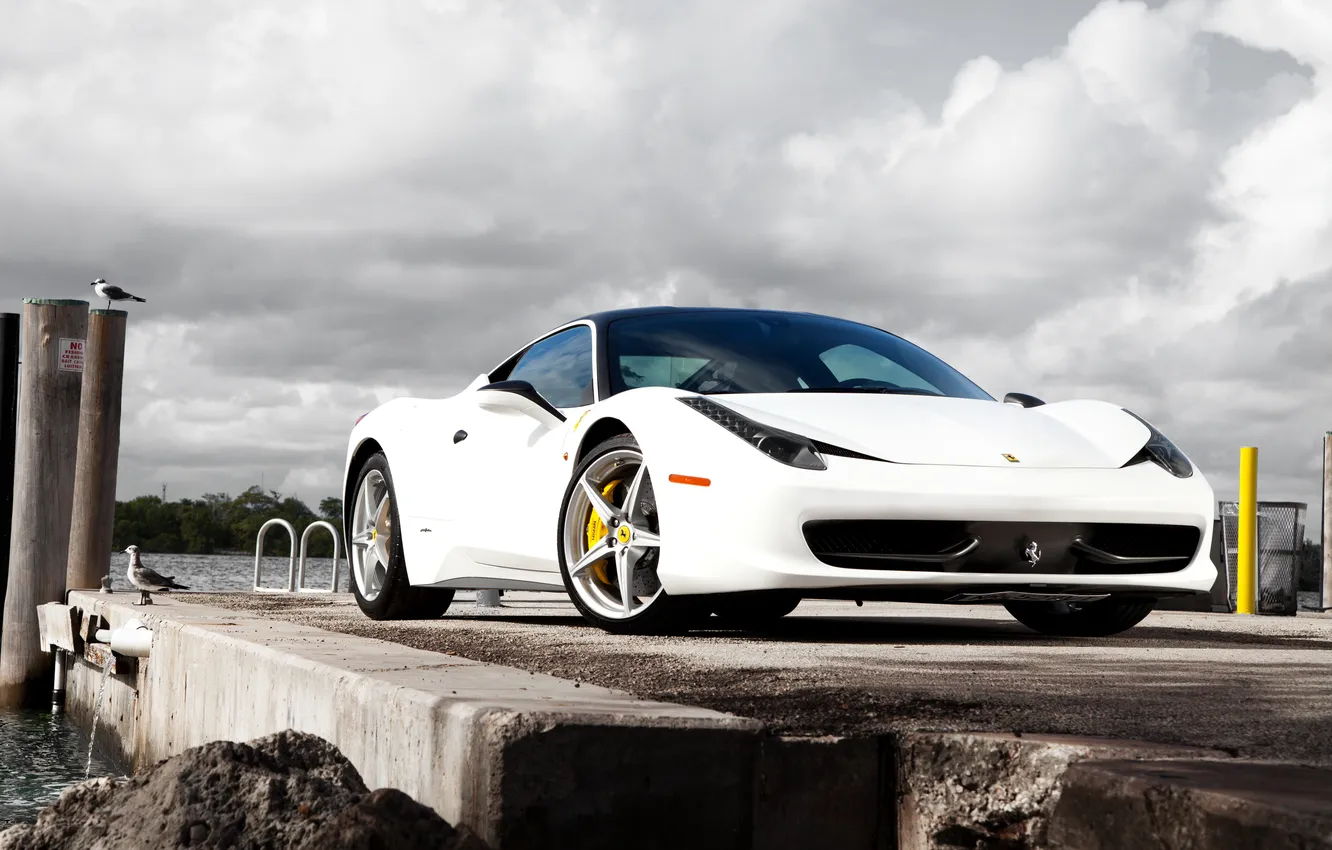 Фото обои белый, вода, птицы, пирс, Ferrari, white, феррари, 458