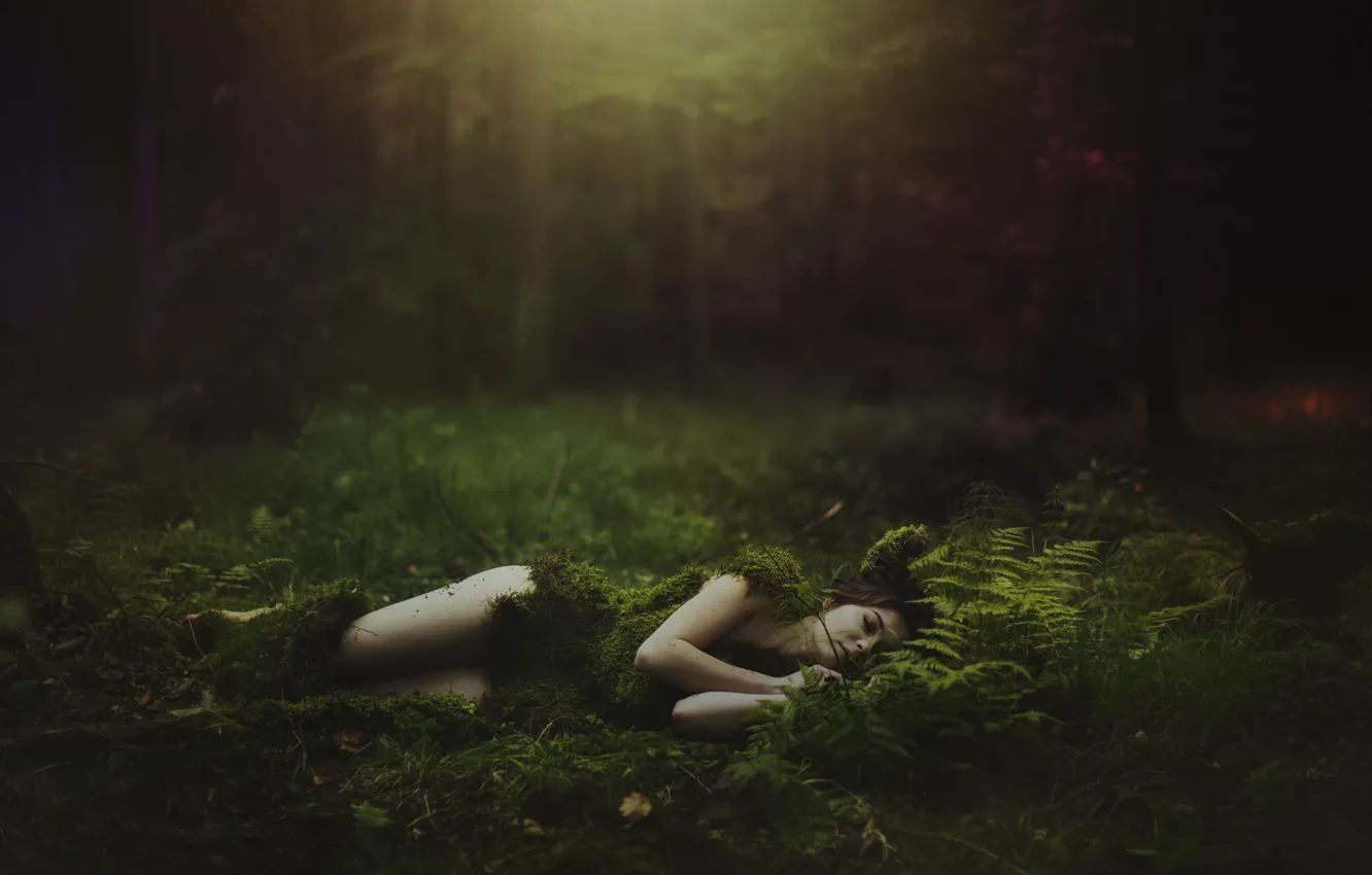 Фото обои лес, девушка, стиль, мох, лежит