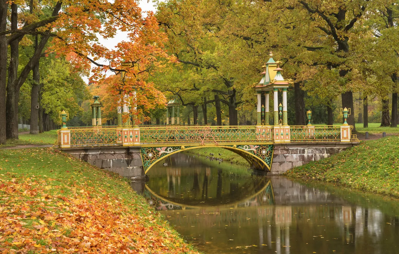 Фото обои осень, деревья, мост, пруд, парк, Санкт-Петербург, Пушкин