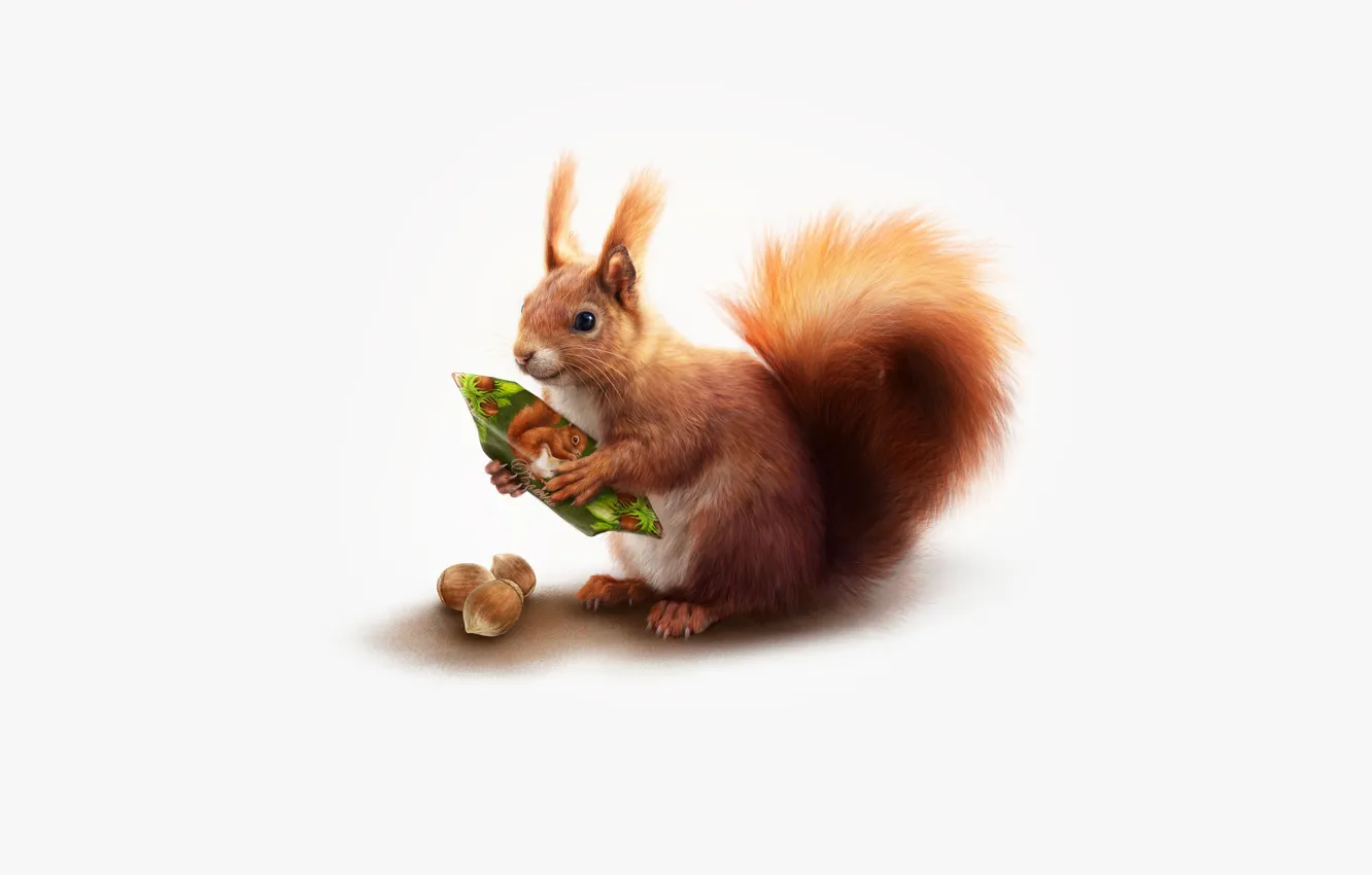 Фото обои Стиль, Арт, Art, Candy, Style, Squirrel, Illustration, Животное