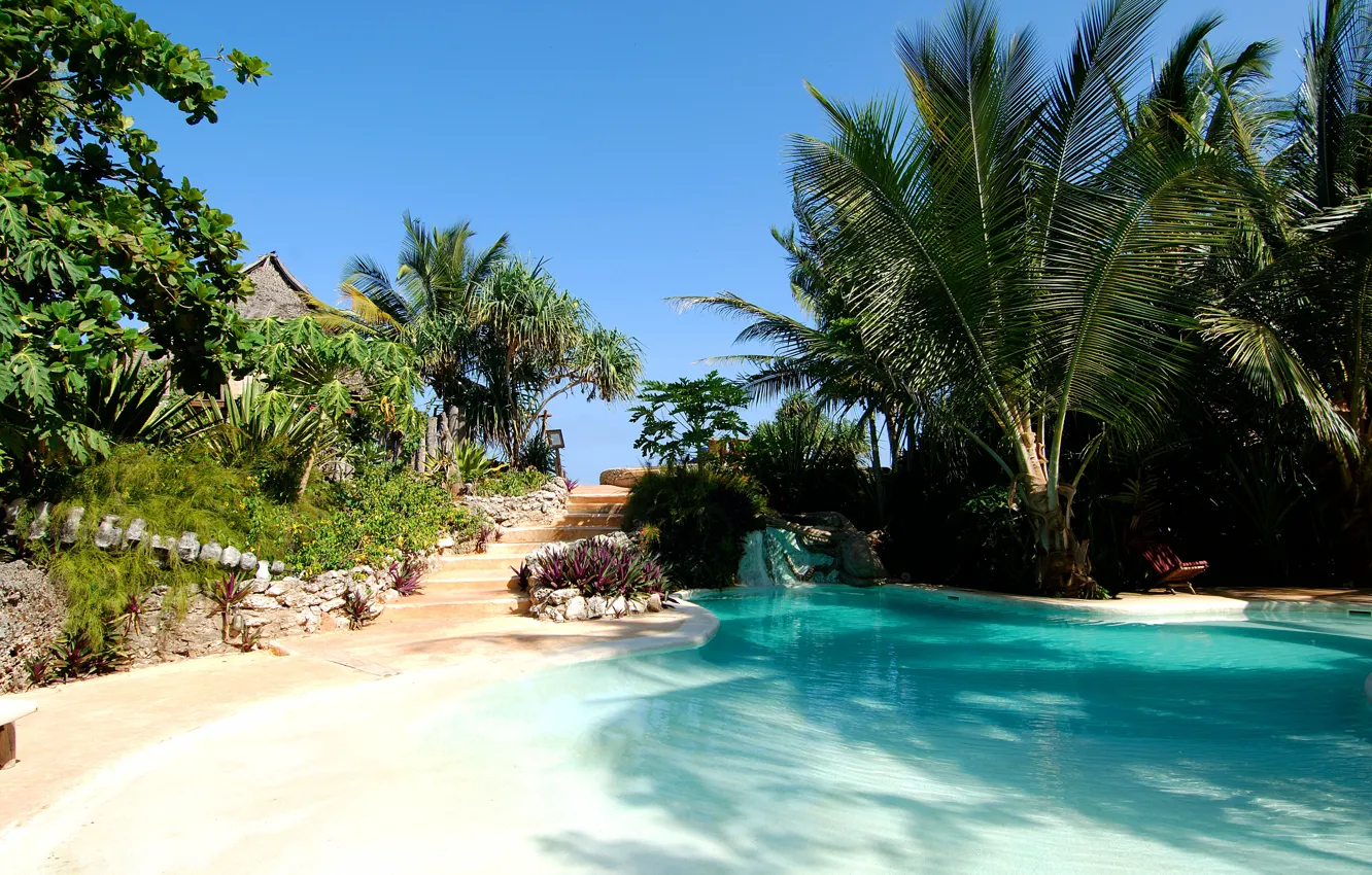 Фото обои пальмы, вилла, бассейн, ранчо