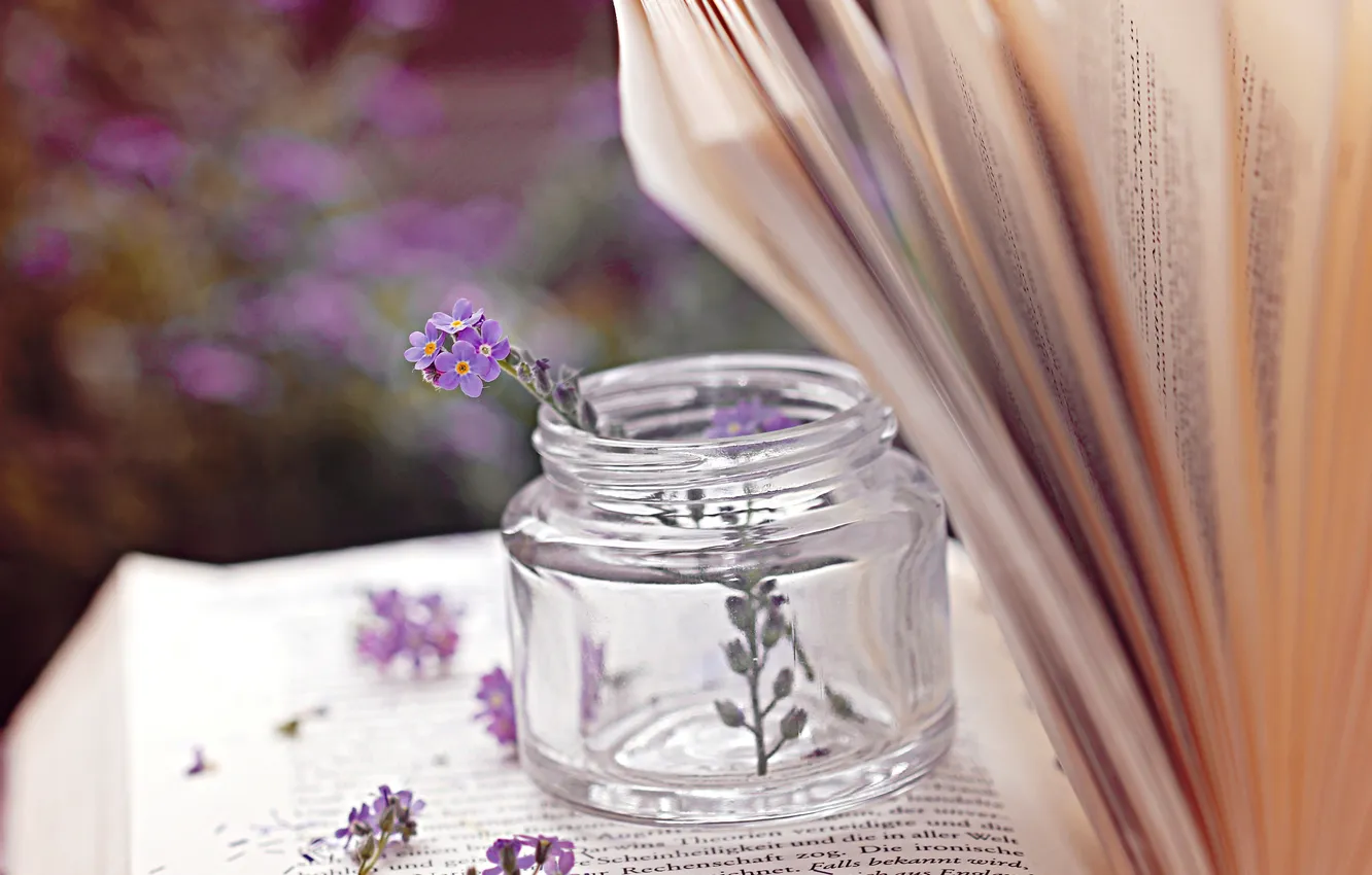 Фото обои макро, цветы, книги, фиолетовые, банка, цветочки, страницы, баночка