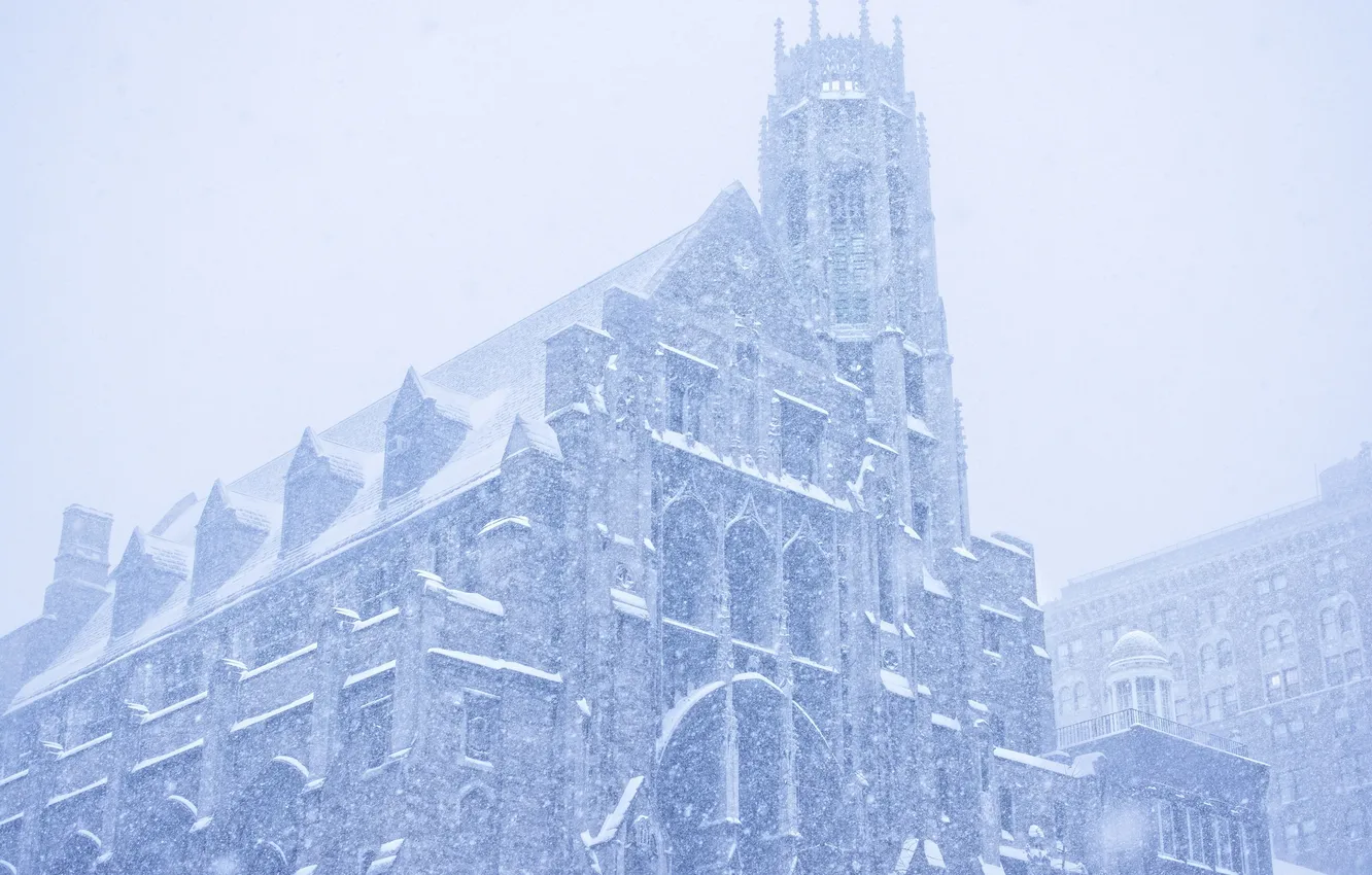 Фото обои зима, Нью-Йорк, Снегопад, «Джонсон»