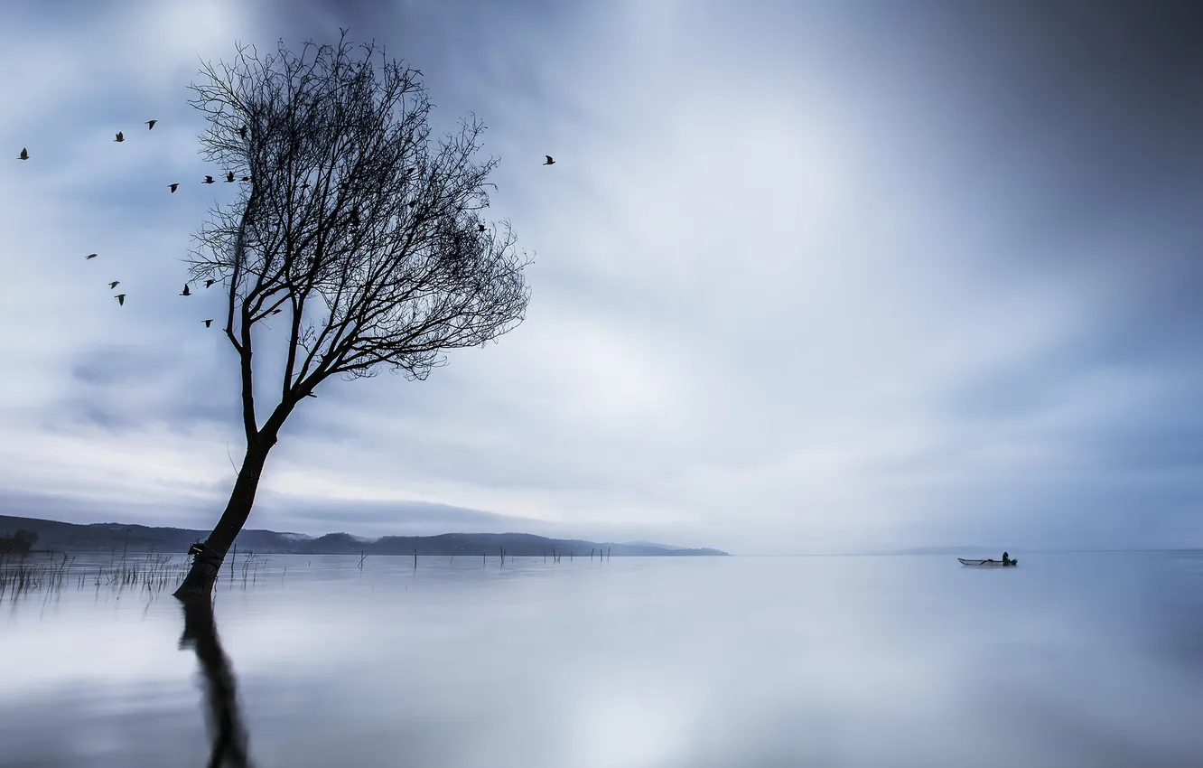 Фото обои пейзаж, озеро, дерево, лодка
