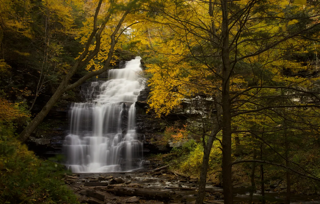 Фото обои осень, лес, деревья, водопад, речка, Пенсильвания, каскад, Pennsylvania