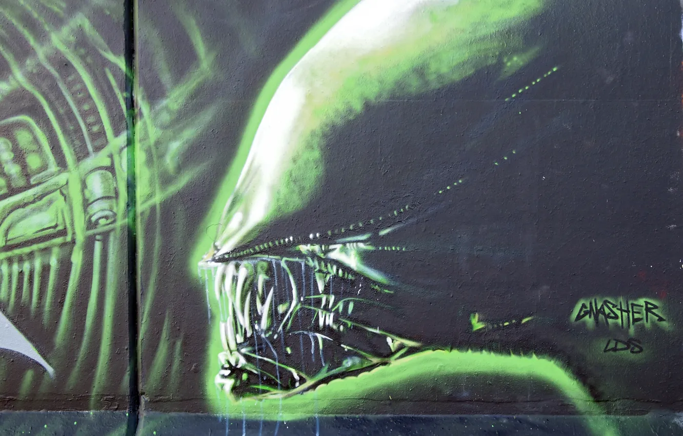 Фото обои стена, граффити, Чужой, Alien, Graffiti