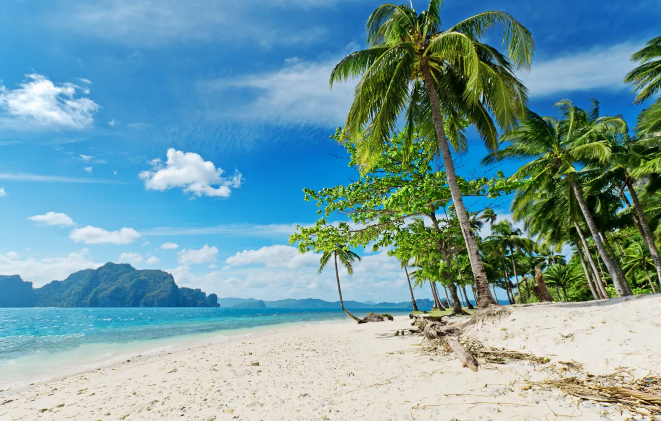 Фото обои песок, море, пляж, облака, пальмы, холмы