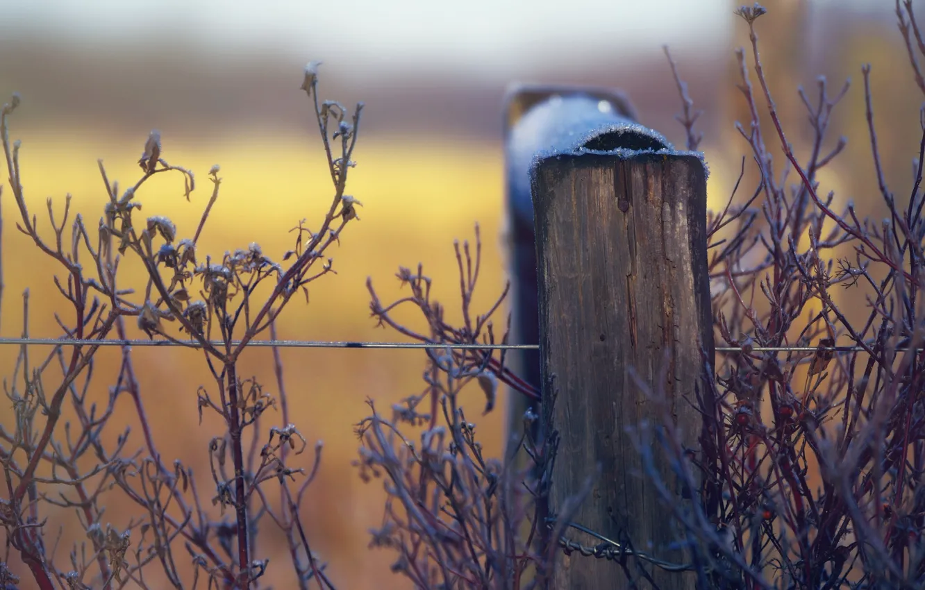 Фото обои snow, fence, wire