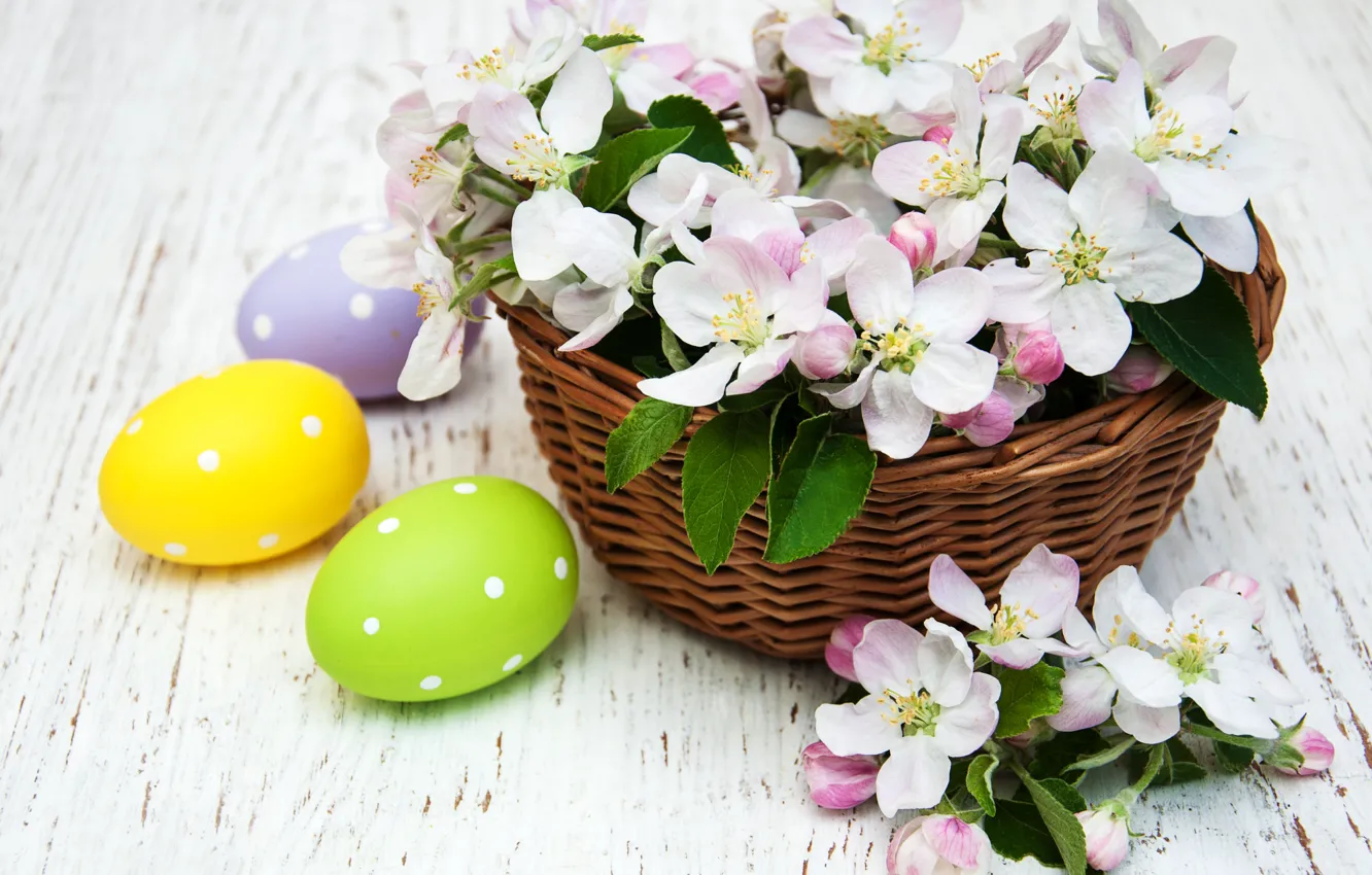 Фото обои цветы, яйца, весна, colorful, Пасха, happy, wood, blossom