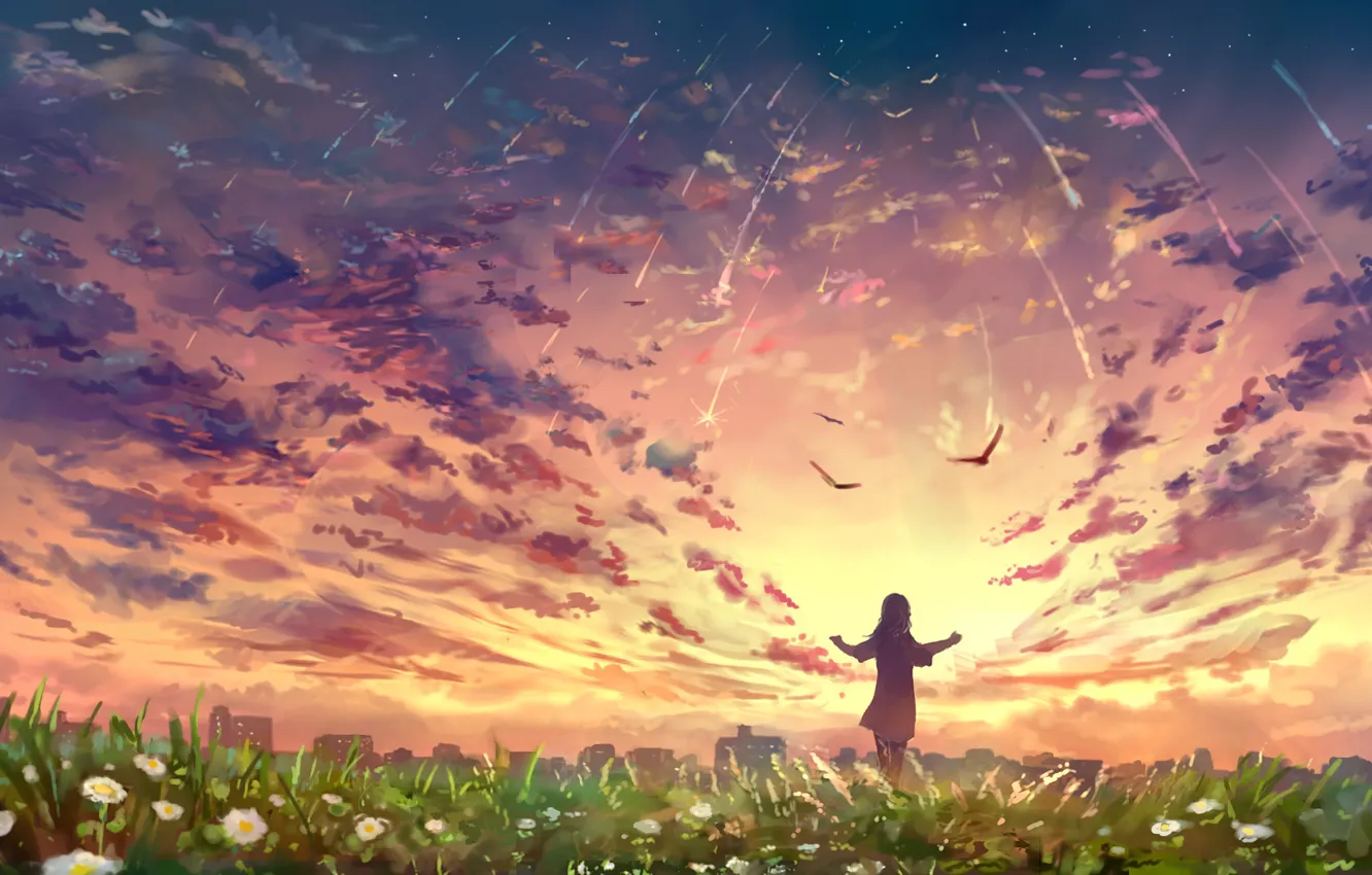 Фото обои небо, девушка, закат, цветы, птицы, природа, город