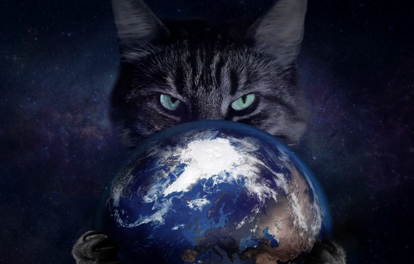 Фото обои Кошка, Космос, Глаза, Когти, Планета Земля, Порабощение