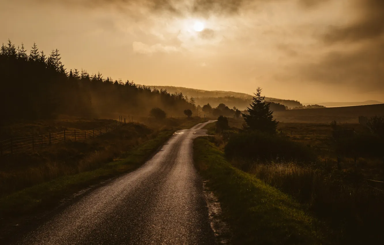 Фото обои road, morning, fog, dawn, countryside, highlands, mist
