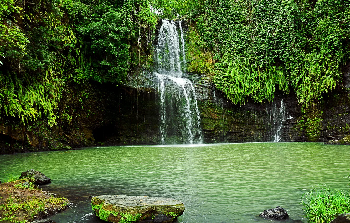 Фото обои зелень, скала, камни, водопад, кусты