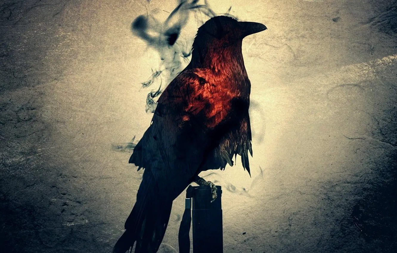 Фото обои птица, силуэт, ворон, bird, crow, мрачность