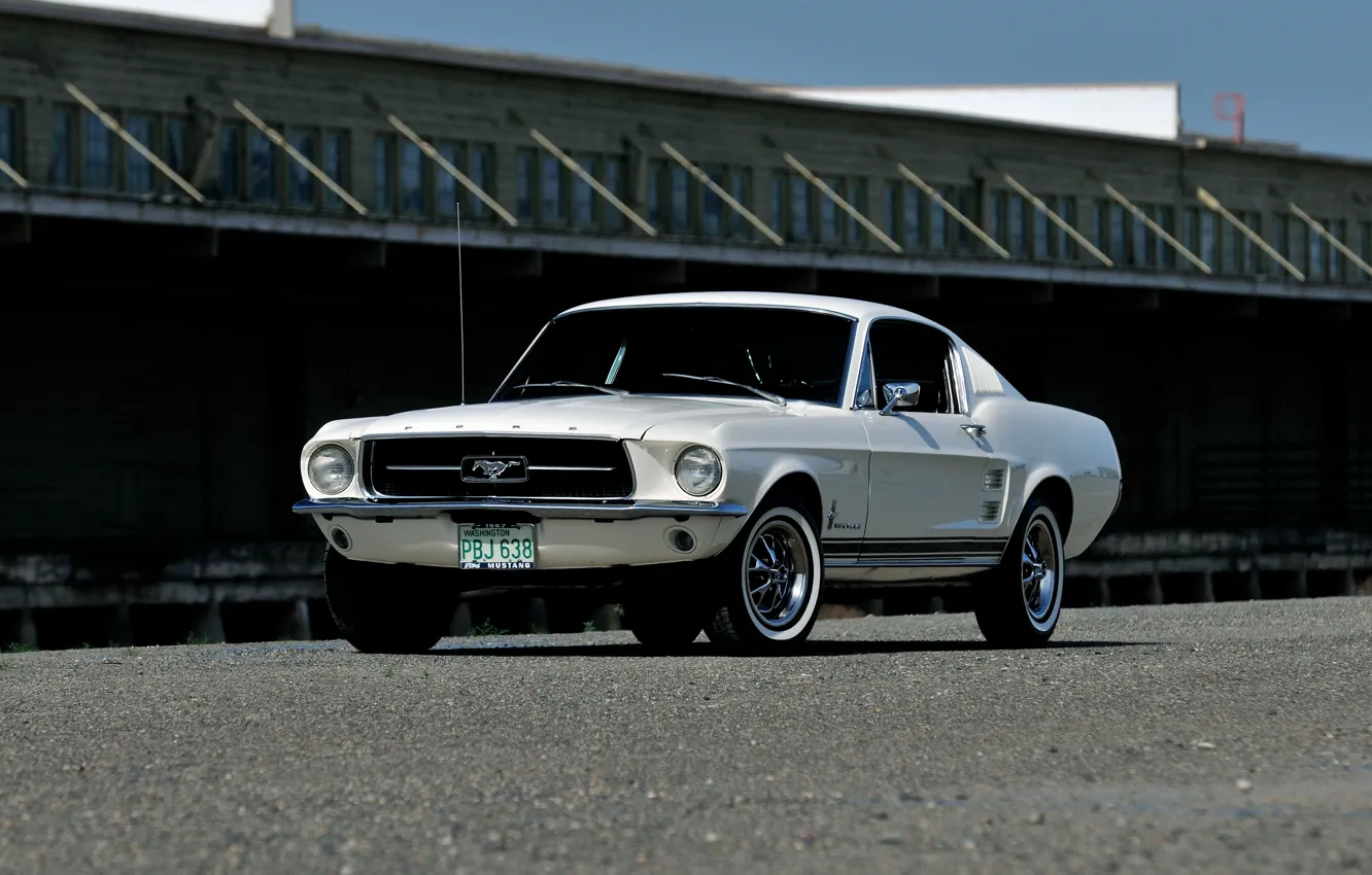 Фото обои Mustang, Ford, мустанг, форд, 1967, Fastback