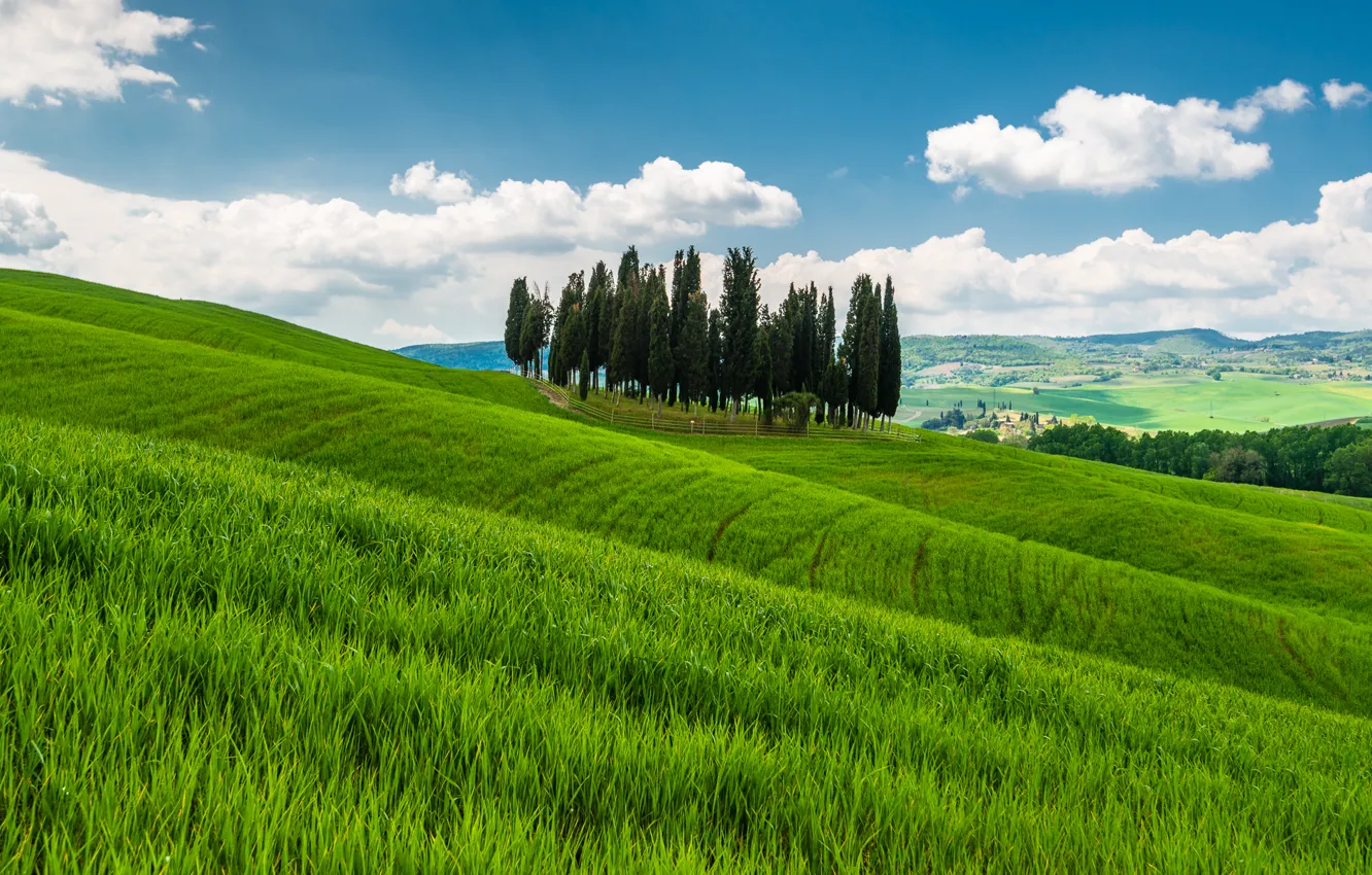 Фото обои трава, деревья, горы, холмы, Италия, Тоскана