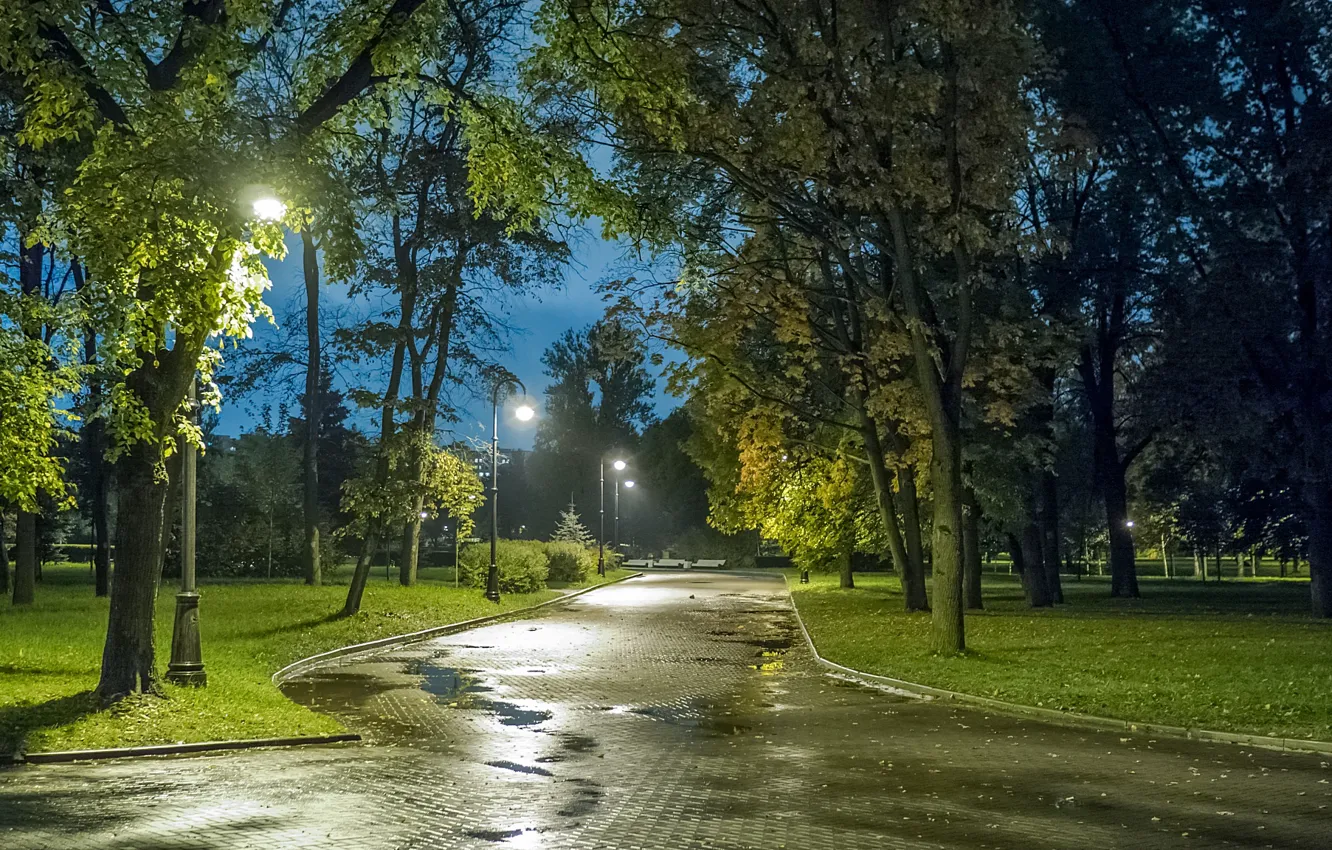 Фото обои осень, огни, парк, вечер, Санкт-Петербург